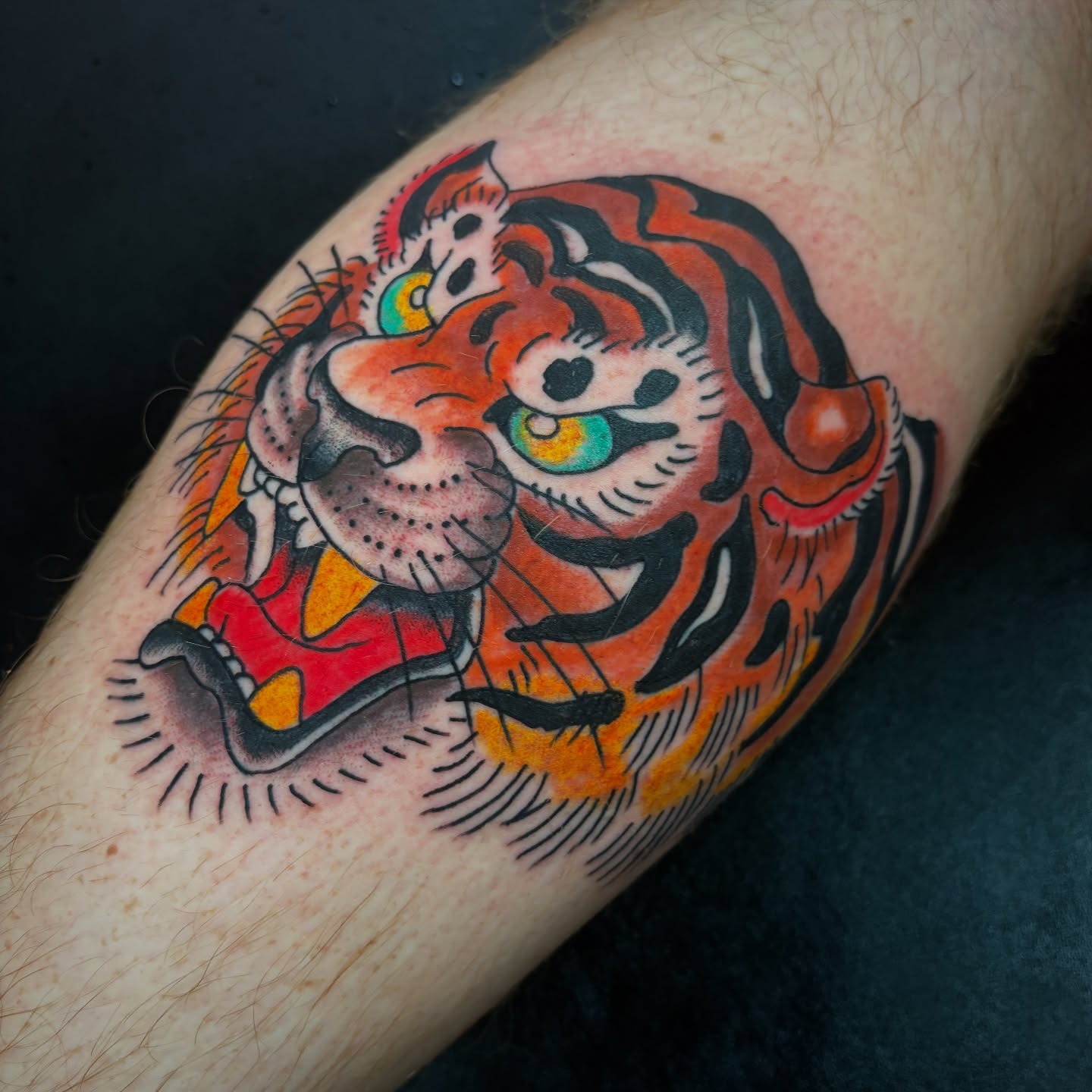Tiger American traditional tattoo on the forearm by adamsayre, San Diego, California