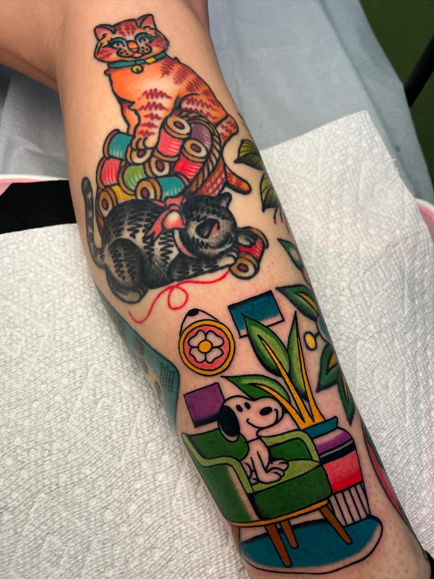 Cat and bear American traditional tattoo on the forearm by ⭐️ Erin Bauer ⭐️