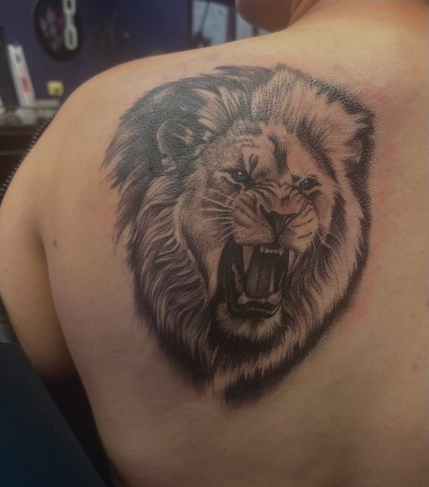 Lion realism tattoo on the shoulder by Carly🪲 greensboro tattoo artist, Greensboro, North Carolina