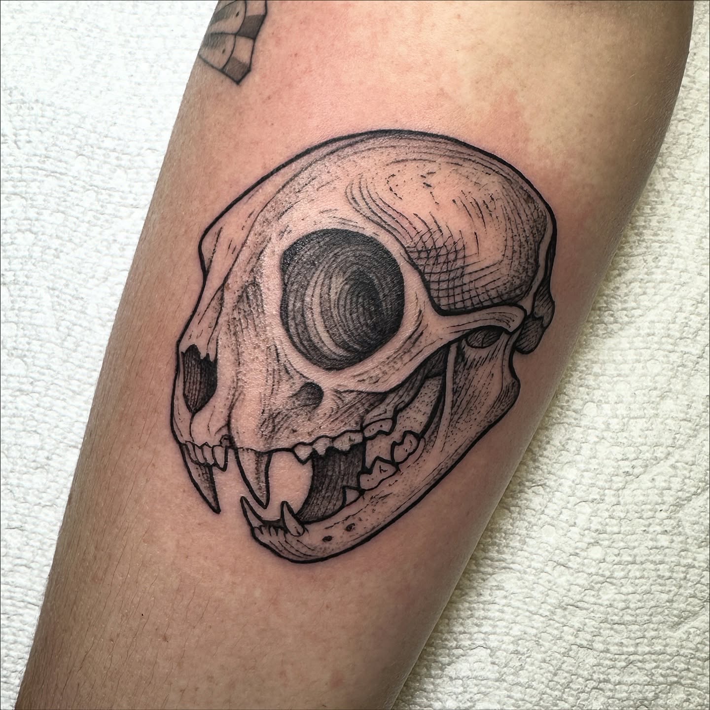 Skull black and grey tattoo on the forearm by Robert McCollum