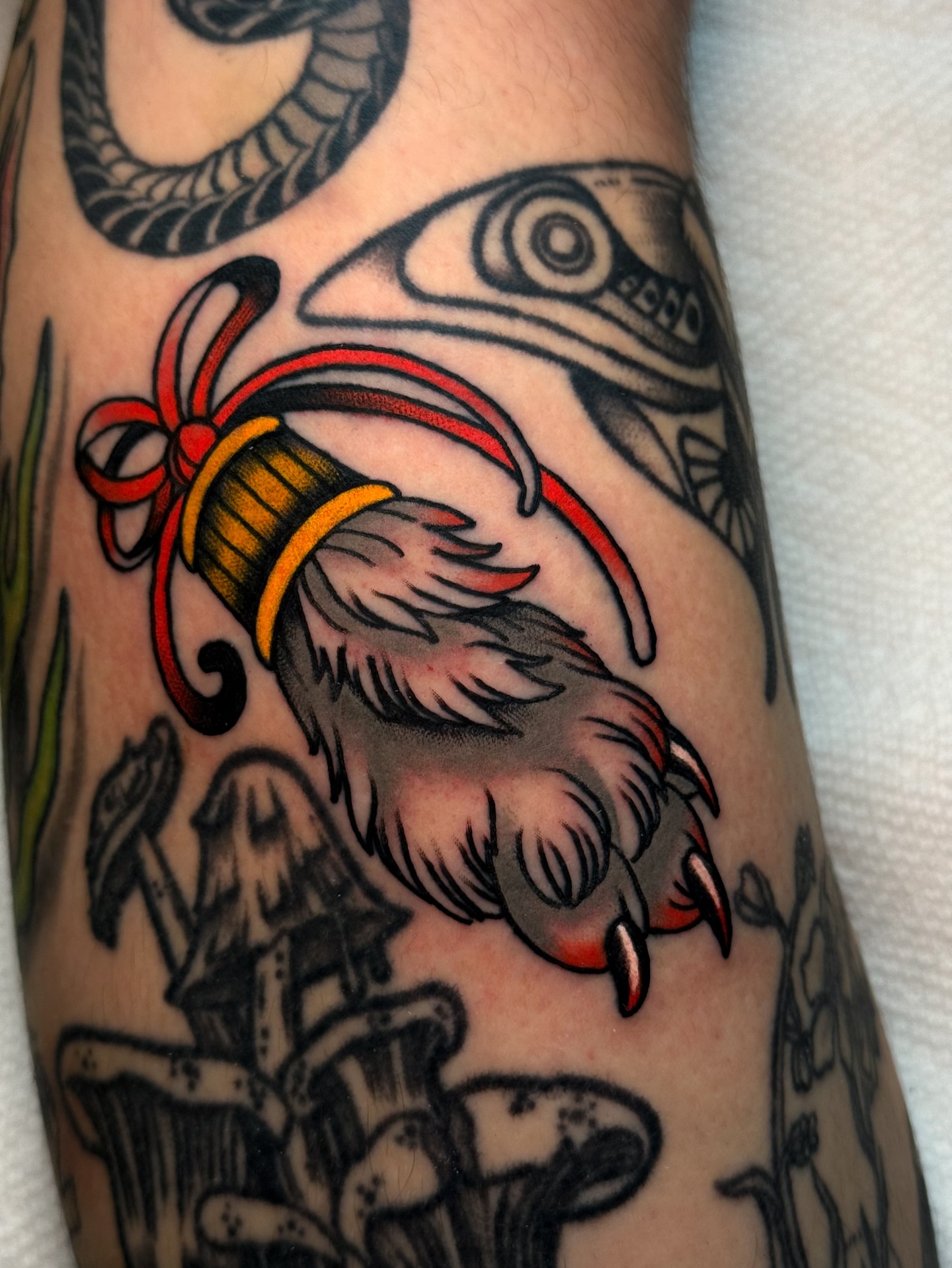 Feathered paw with ribbon American traditional tattoo on the forearm by Cory Cartwright
