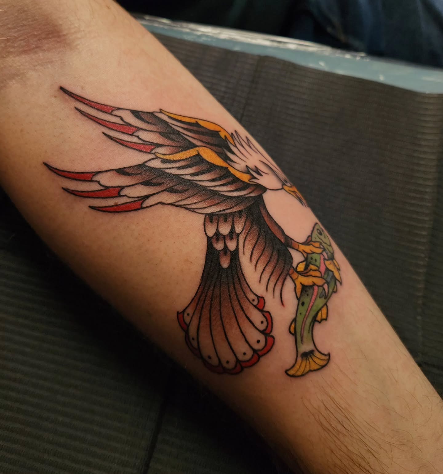 Phoenix American traditional tattoo on the forearm by Gavvo