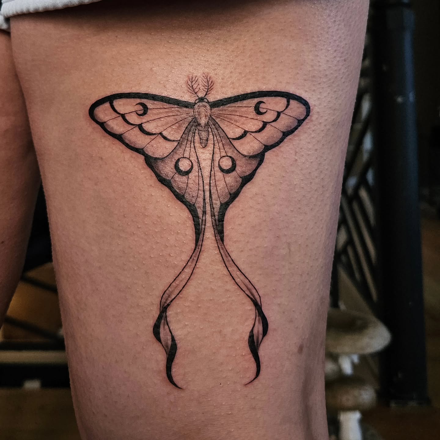 Moth black and grey tattoo on the thigh by Courtlyn Bliss