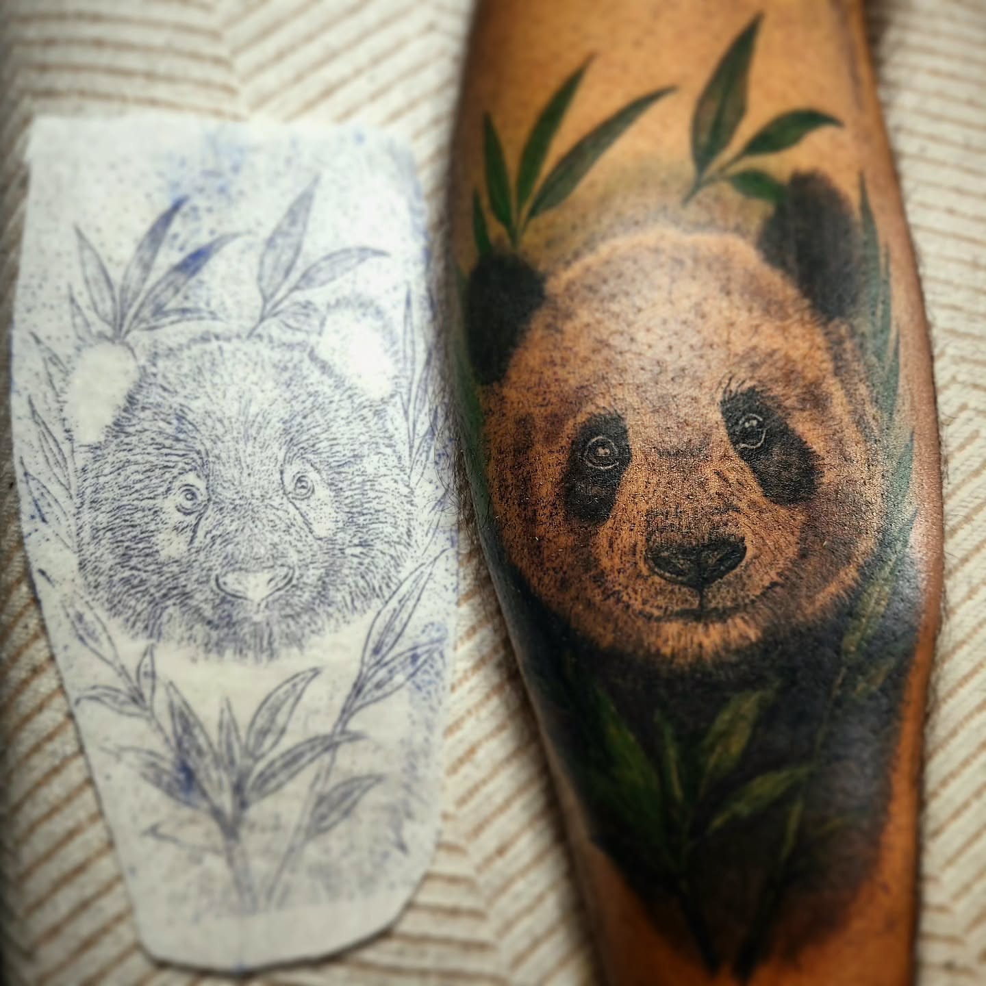 Panda realism tattoo on the forearm by Sonia