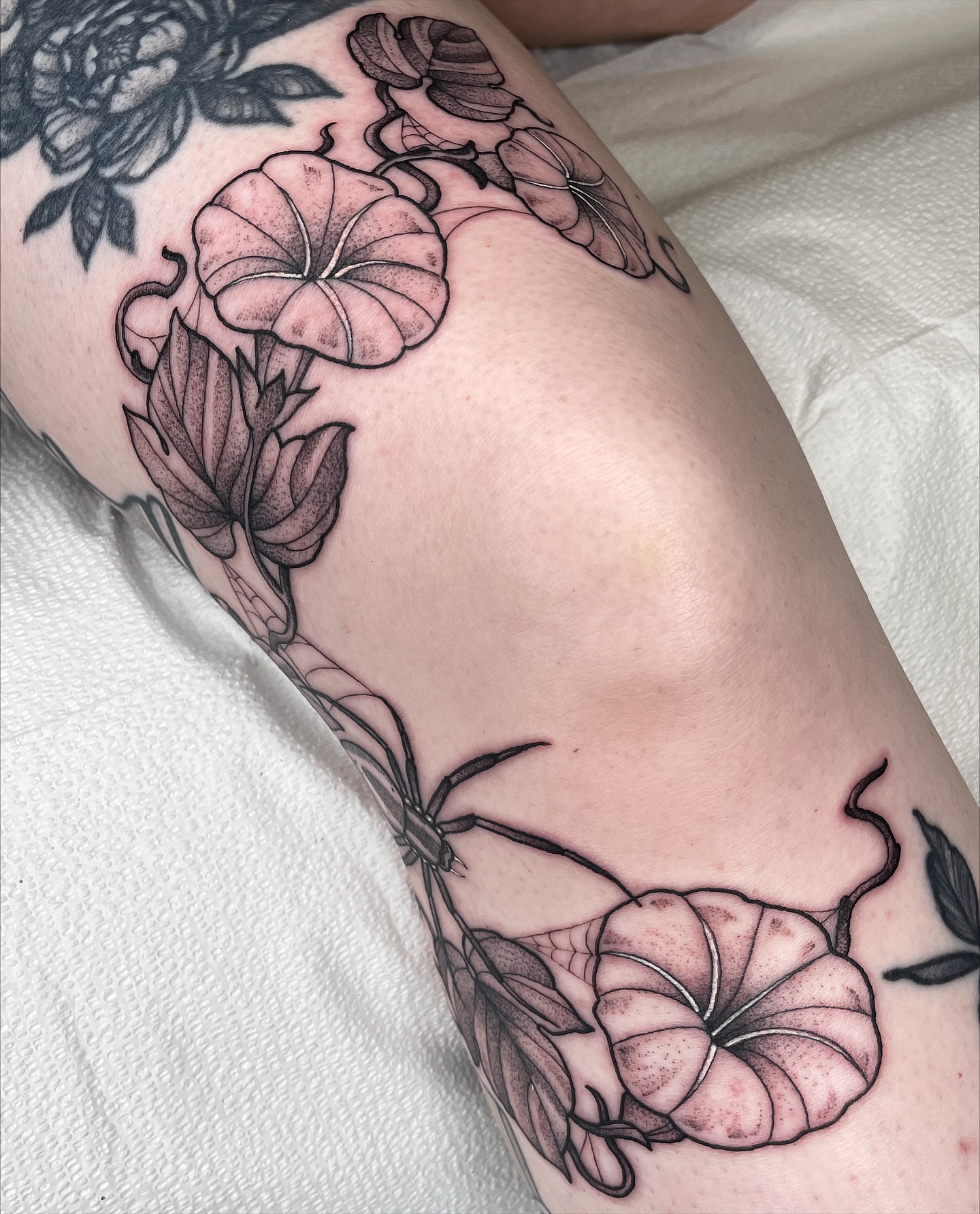 Morning glory and spider realism tattoo on the forearm by Emily Lux