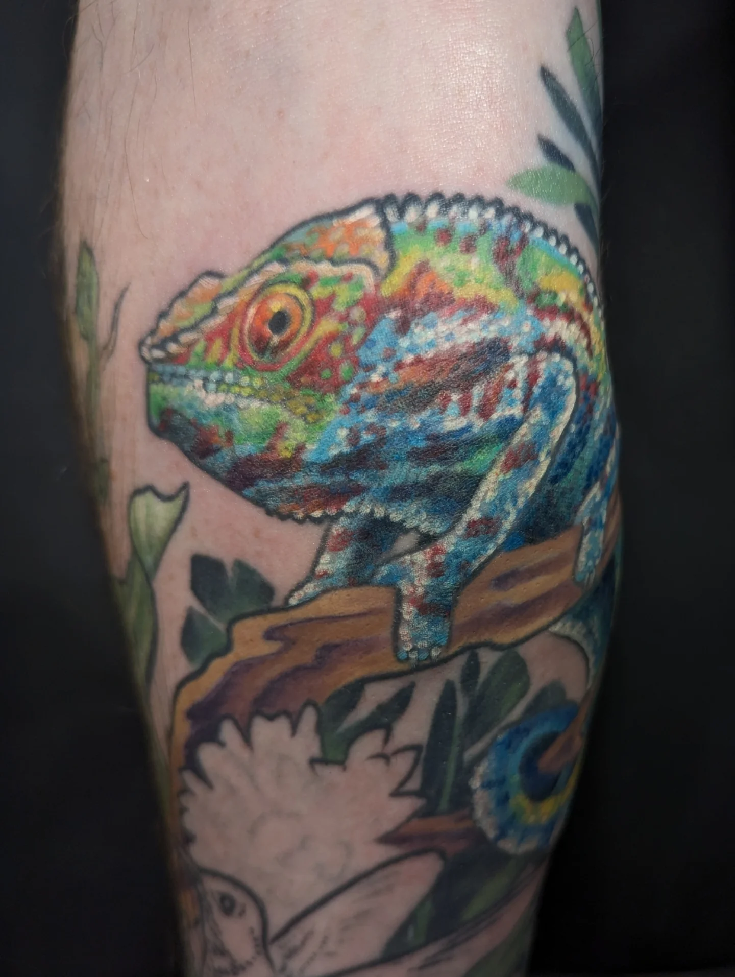Chameleon dotwork tattoo on the forearm by Devon Greig