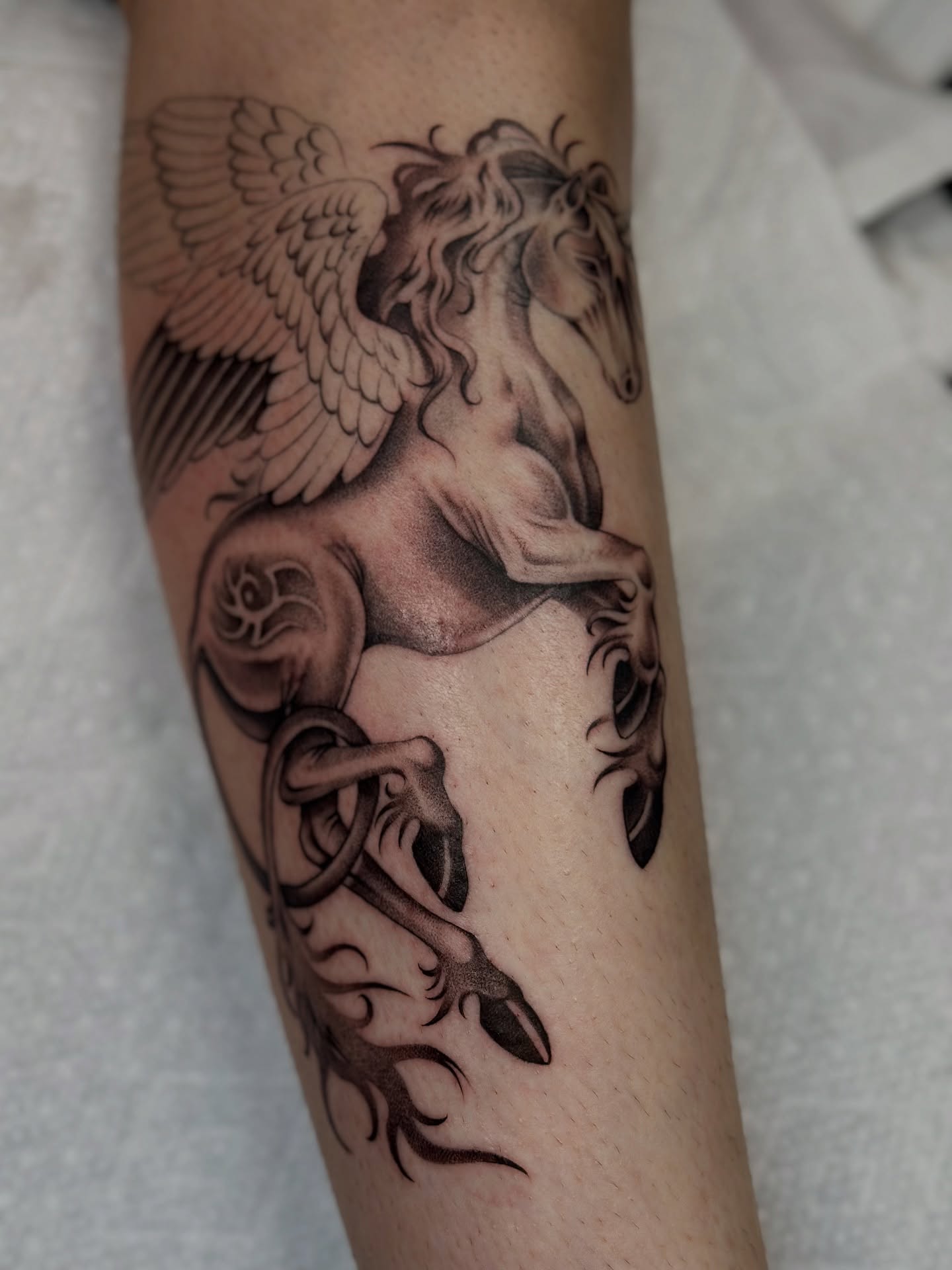 Pegasus black and grey tattoo on the forearm by Lauryn Jenesis