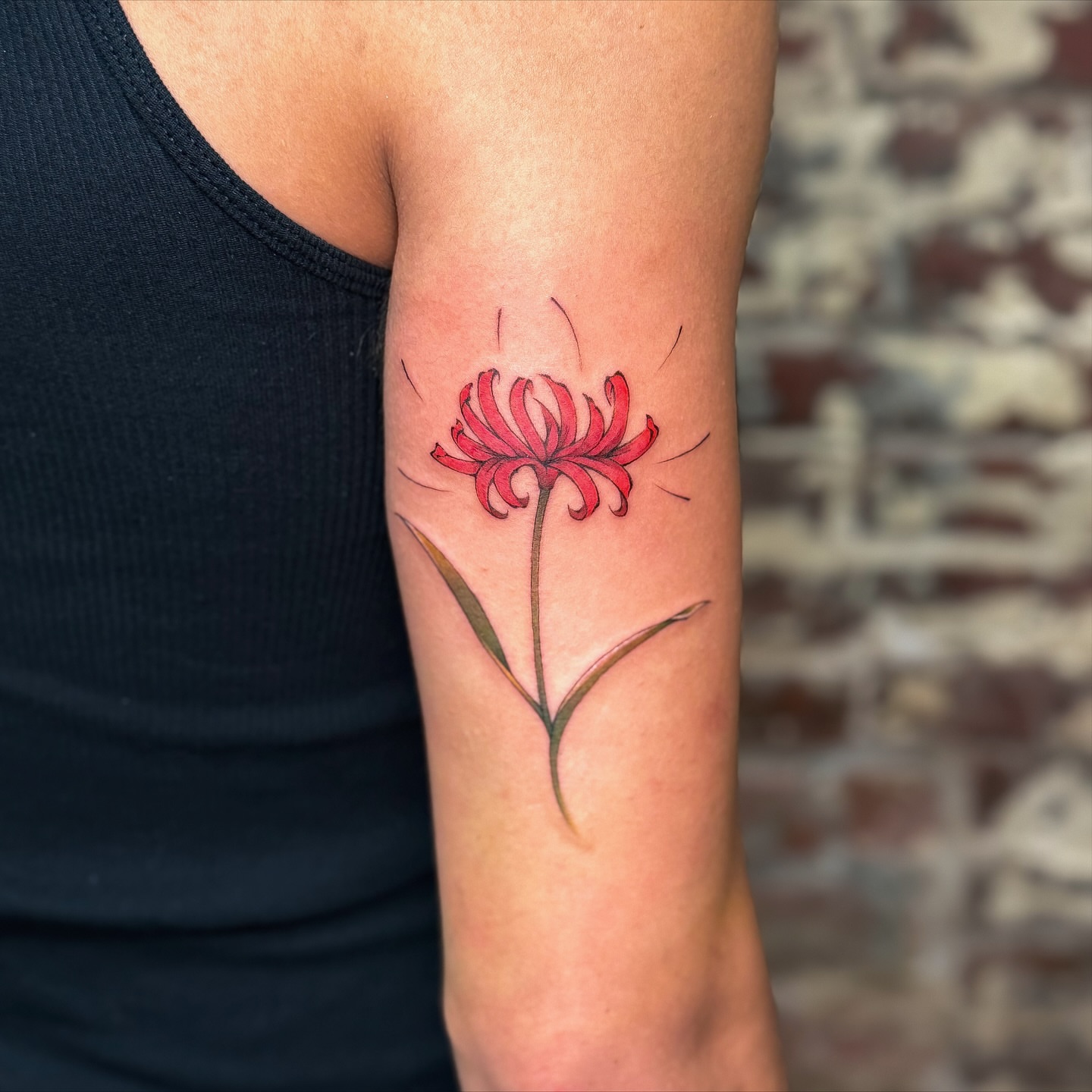 Chrysanthemum dotwork tattoo on the forearm by justin