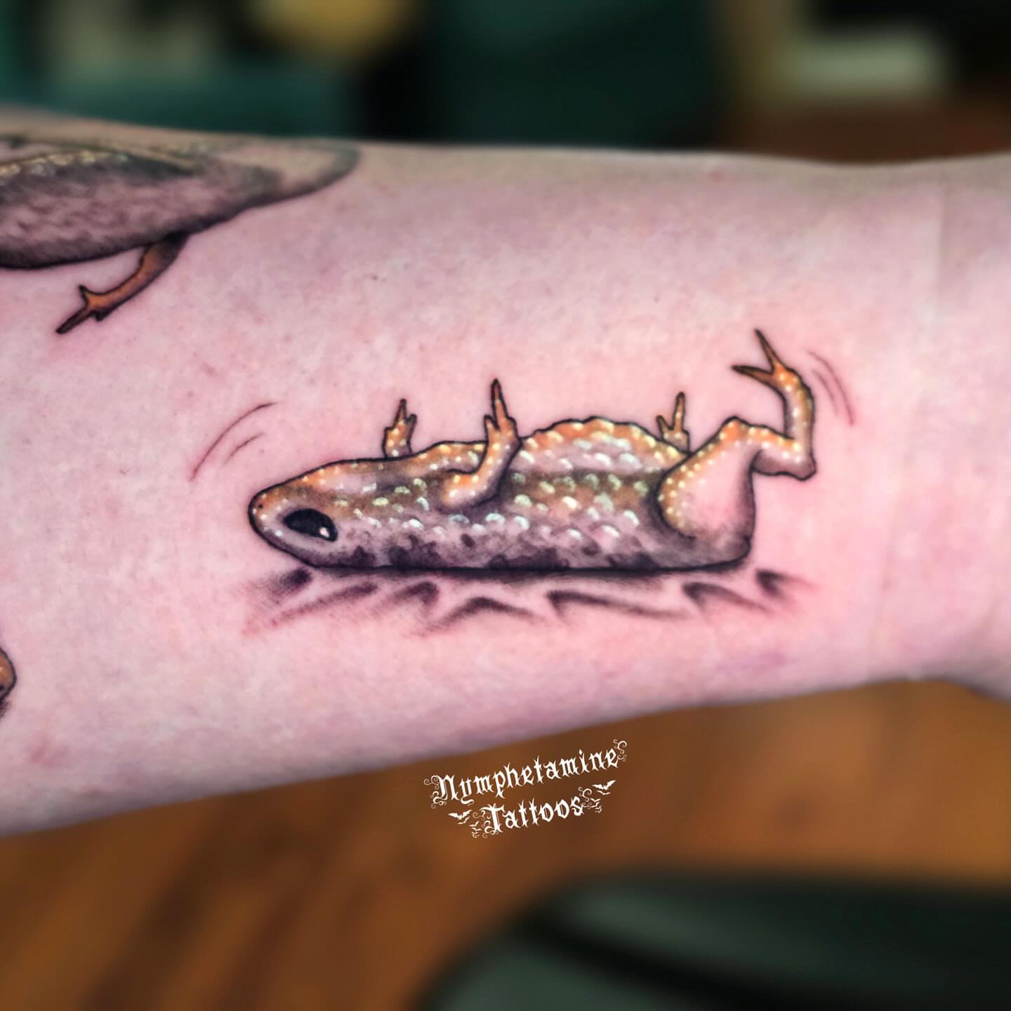 Newt realism tattoo on the forearm by ๐ธ๐๐๐๐๐๐๐๐
