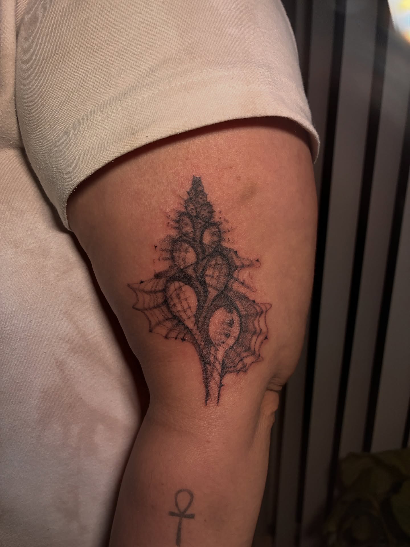 Seashell black and grey tattoo on the forearm by Elijah Cosme, Miami, Florida