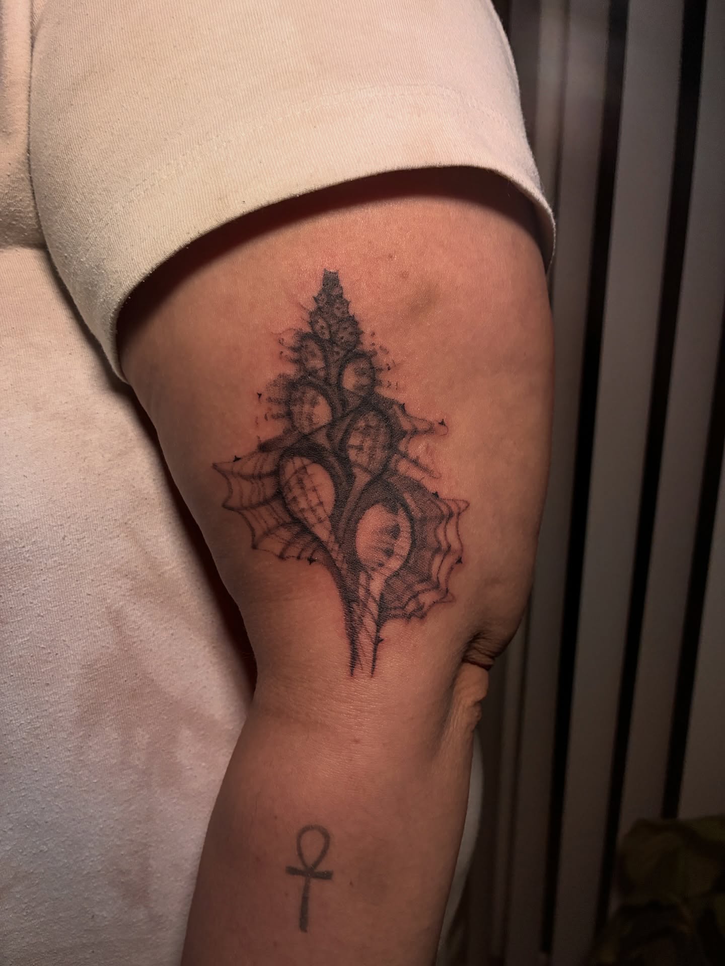 Shell black and grey tattoo on the forearm by Elijah Cosme, Miami, Florida