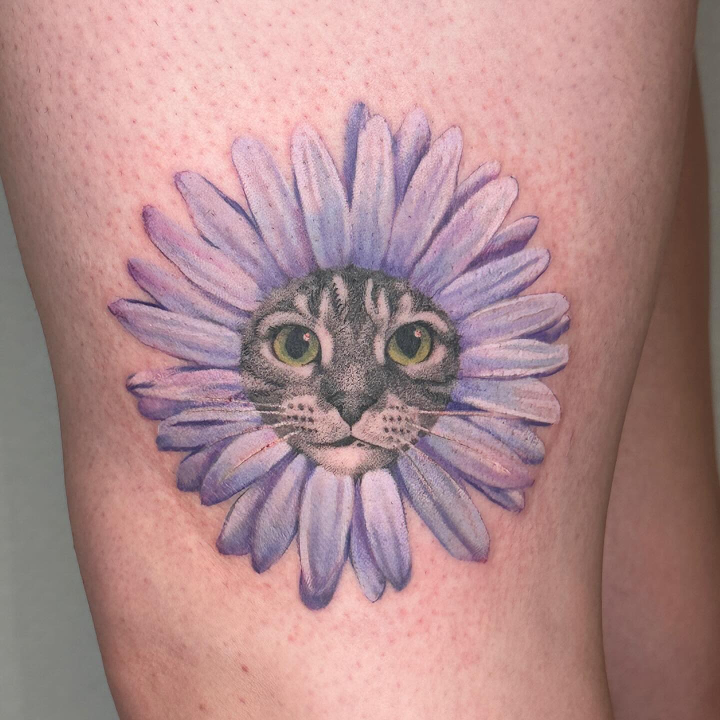Cat with flower realism tattoo on the thigh by ɪᴍᴏɢᴇɴ 🏳️🌈 sᴇᴀᴛᴛʟᴇ ᴛᴀᴛᴛᴏᴏ ᴀʀᴛɪsᴛ, Seattle, Washington