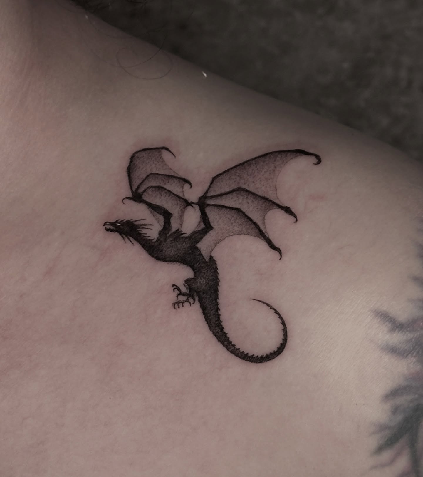Dragon dotwork tattoo on the shoulder by Carmen Figueroa, New York, New York