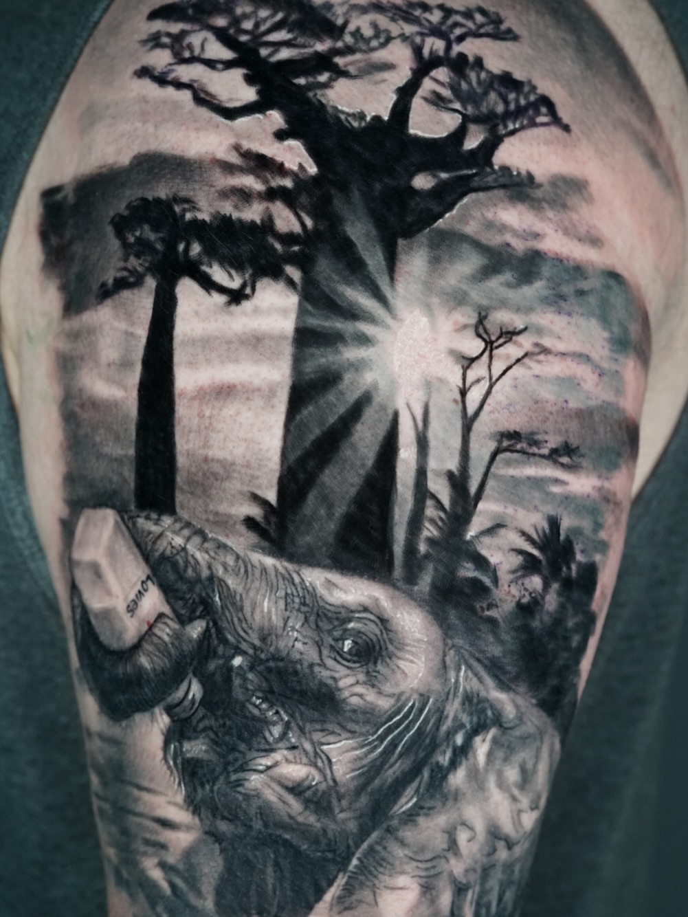 Elephant and baobab tree realism tattoo on the forearm by Jose Carlos