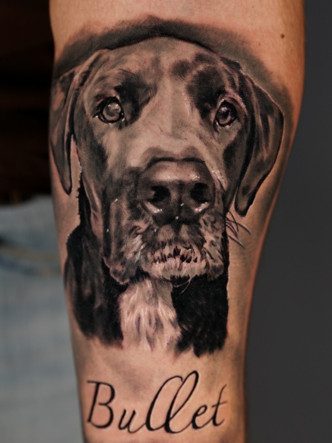 Dog portrait realism tattoo on the forearm by Jose Carlos