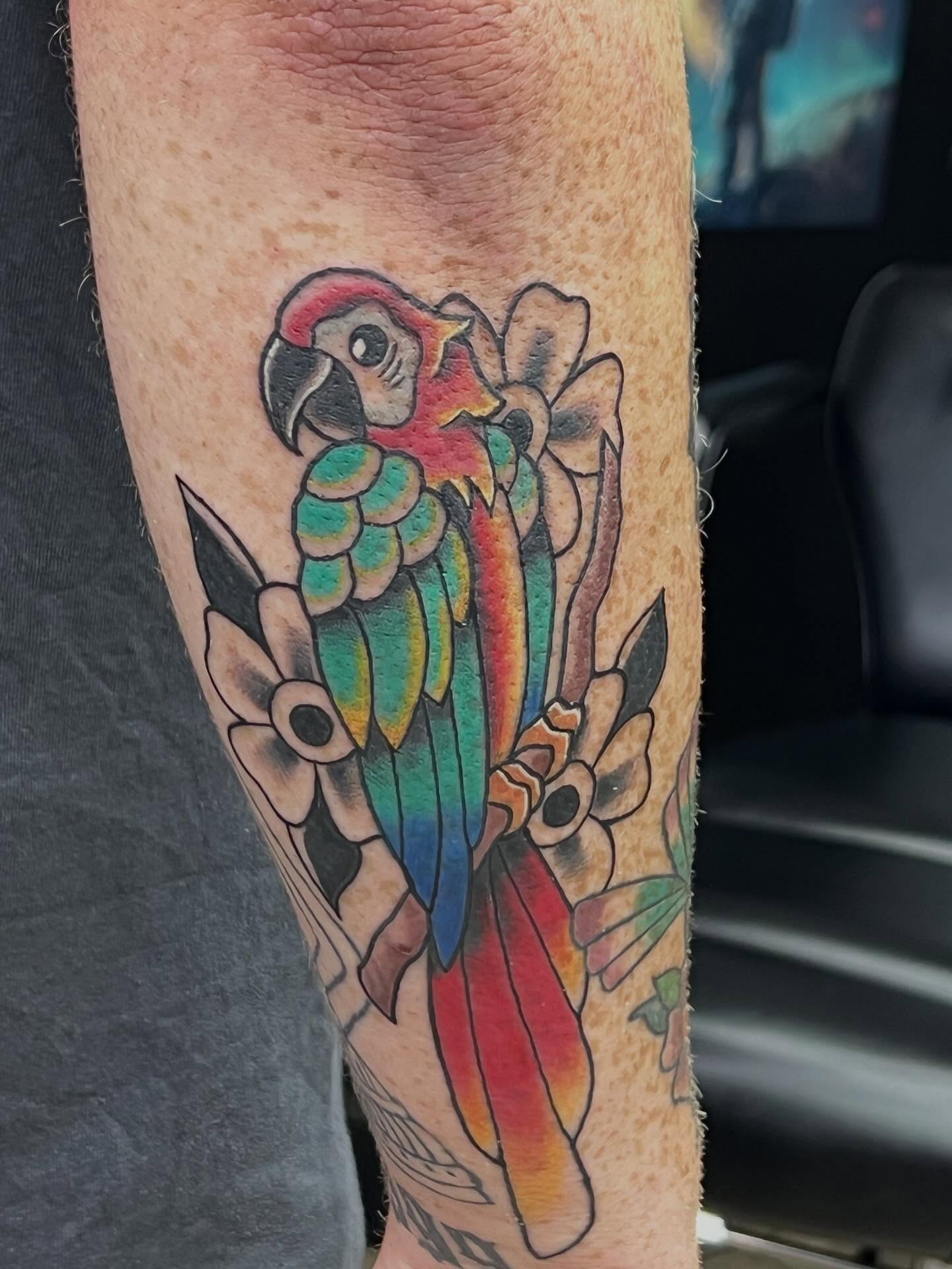 Parrot American traditional tattoo on the forearm by Ellari