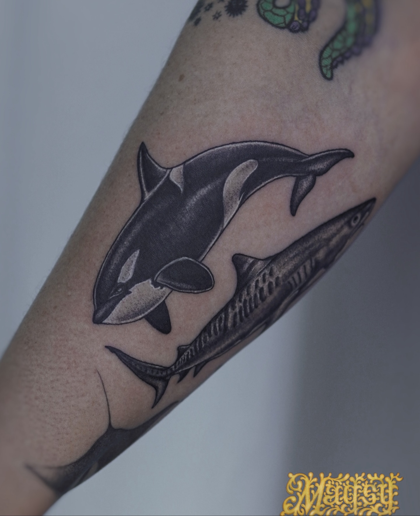 Orca shark black and grey tattoo on the forearm by Magsy, Orange, California