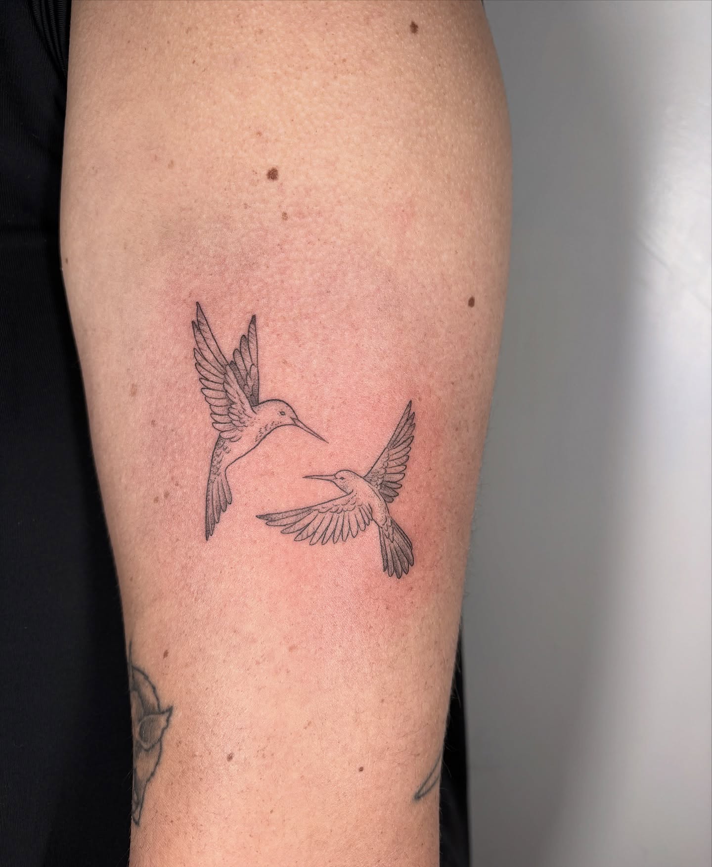 Hummingbirds black and grey tattoo on the forearm by Fineline tattoos by Kinsey