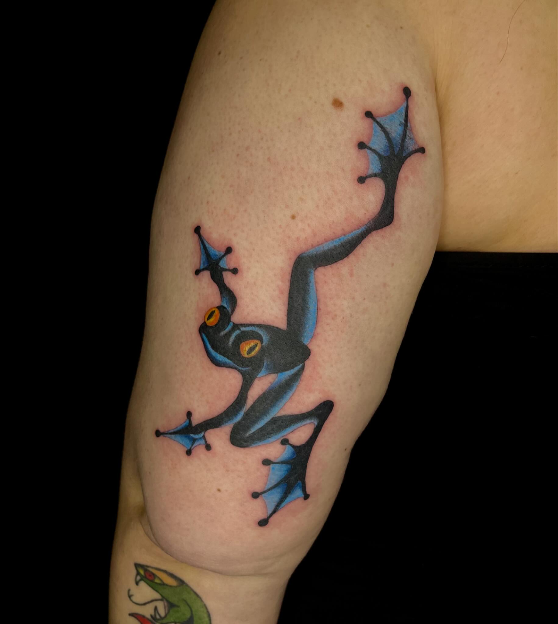 Frog dotwork tattoo on the forearm by Chase Healey, Salt Lake City, Utah