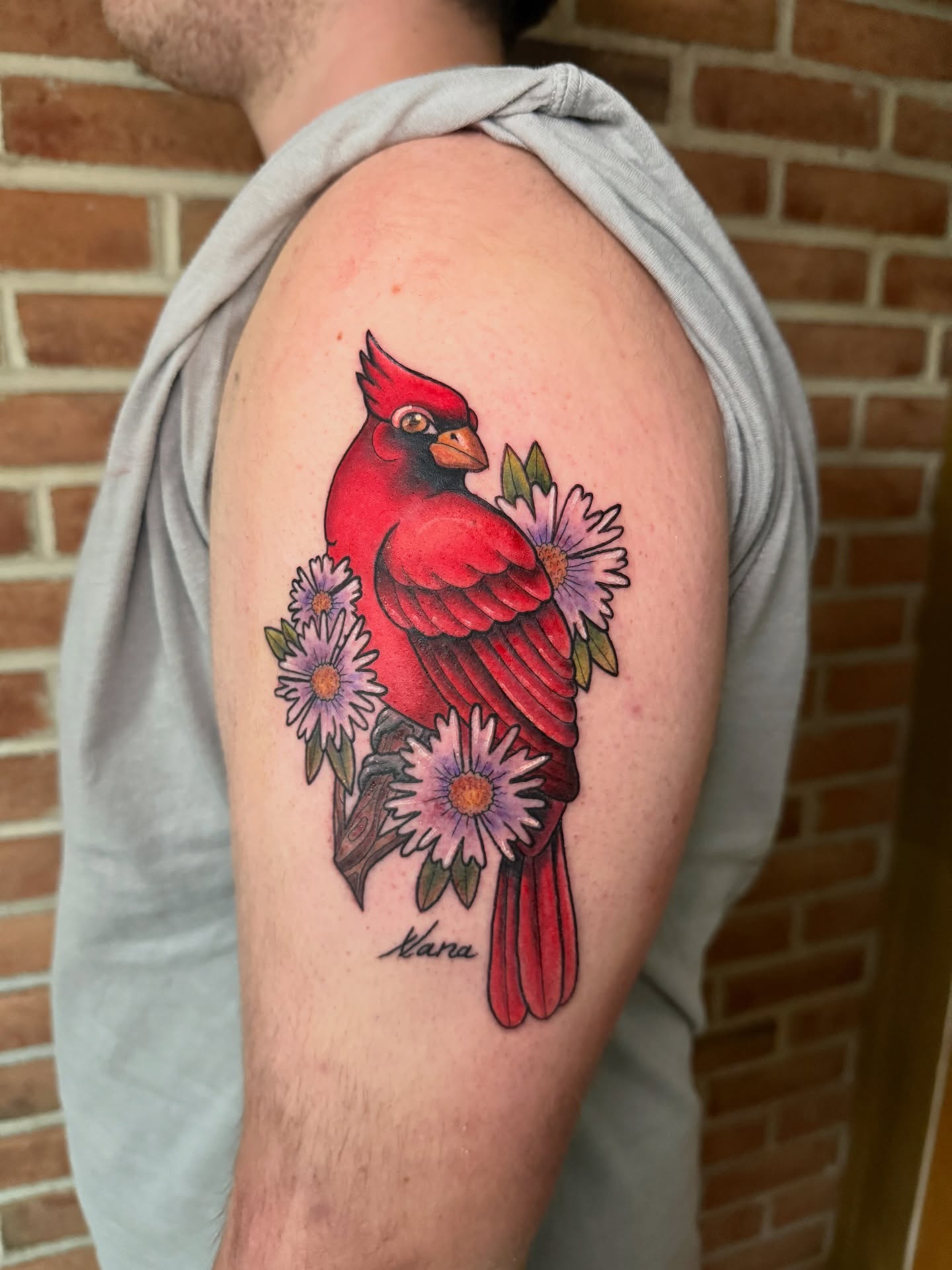 Cardinal bird realism tattoo on the shoulder by Perrey