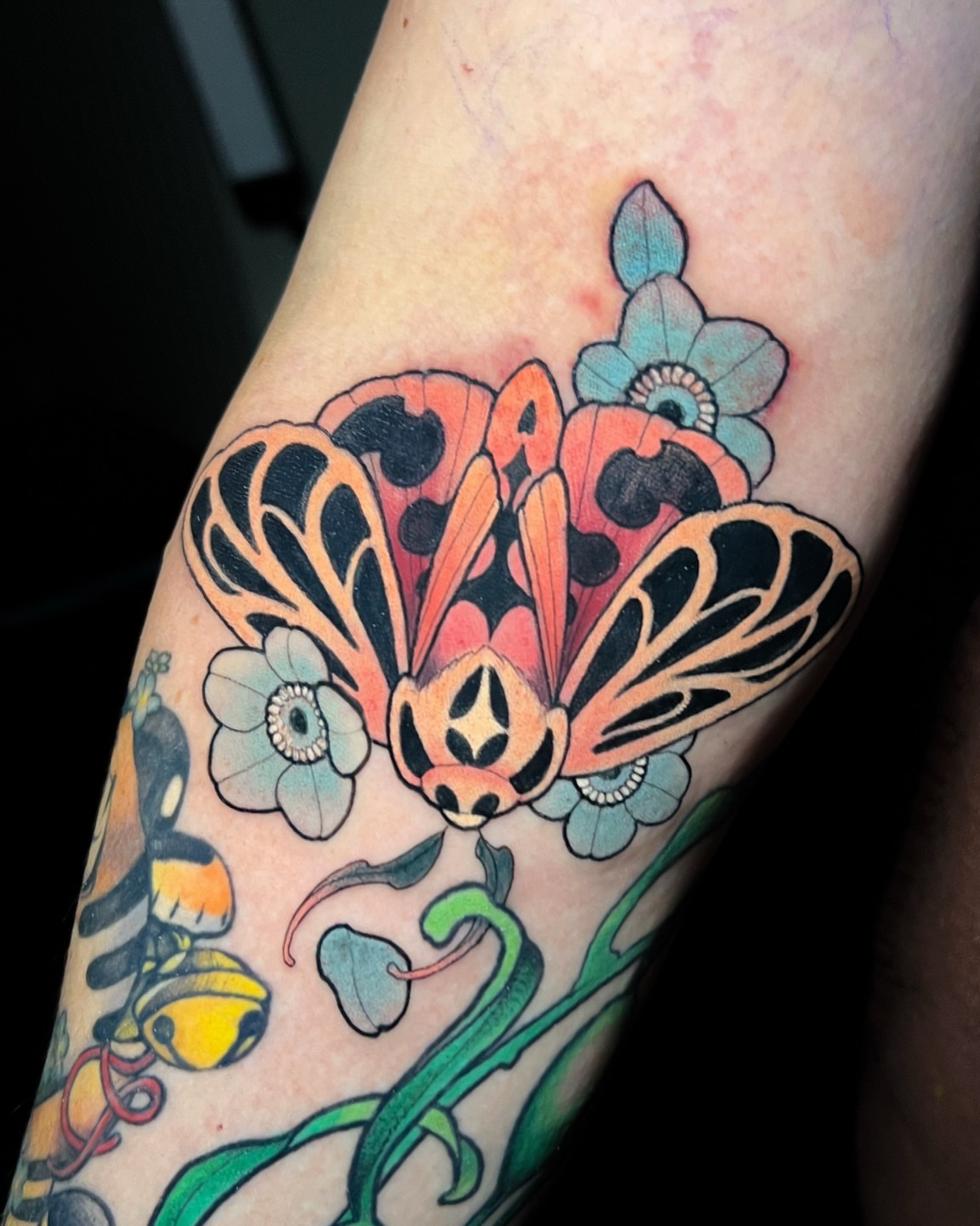 Tattoo by @hannahsteeleart — american_traditional, new_school