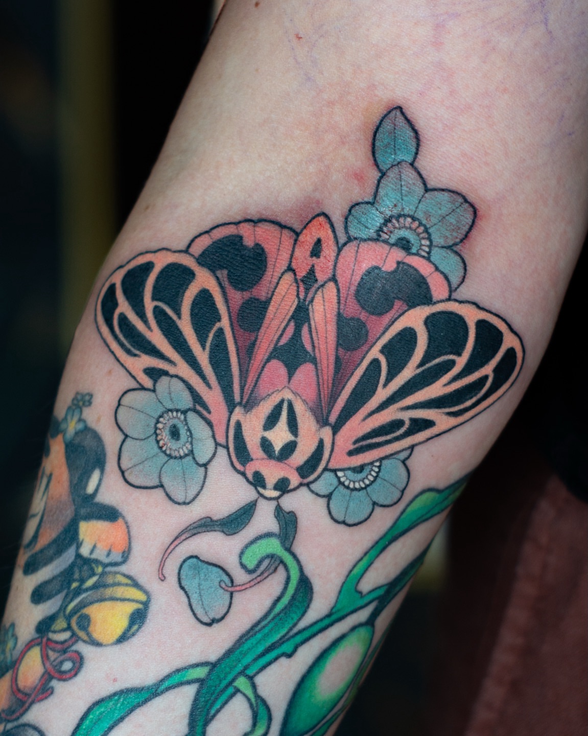 Tattoo by @hannahsteeleart — american_traditional, new_school