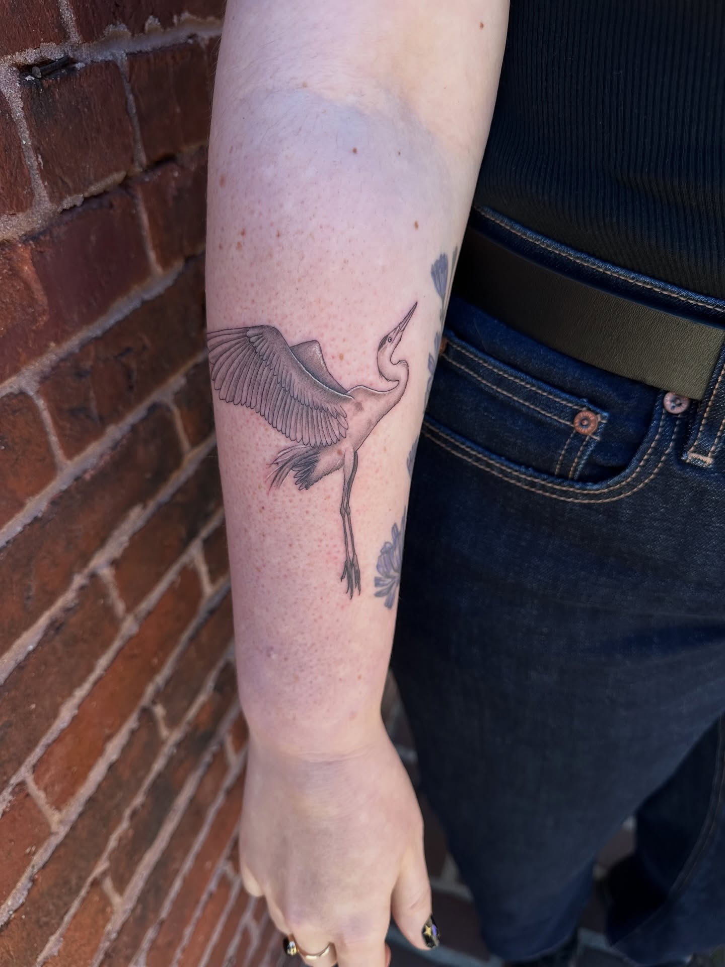 Heron realism tattoo on the forearm by Hail Chaney, Somerville, Massachusetts