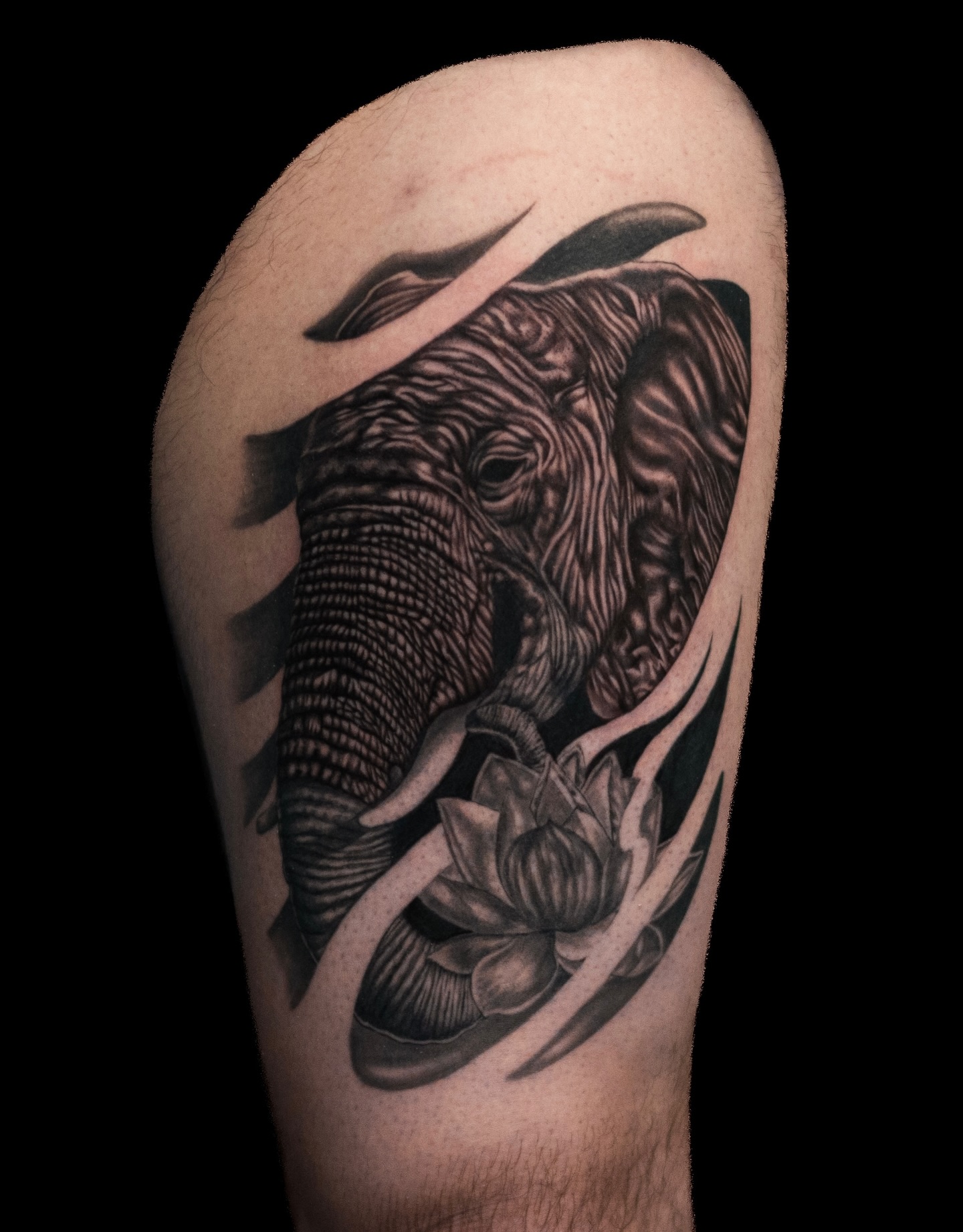 Elephant and lotus flower realism tattoo on the forearm by Tattoo Artist