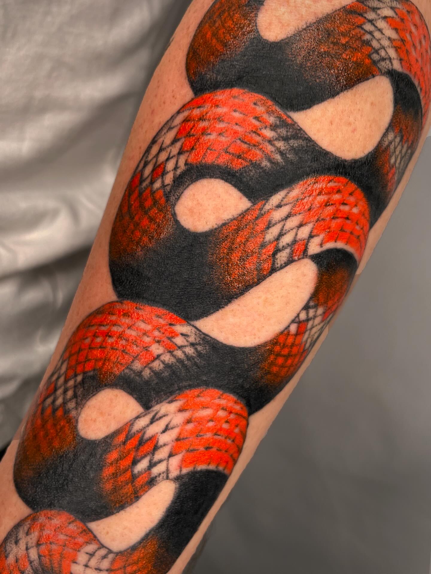 Snake American traditional tattoo on the forearm by Vash