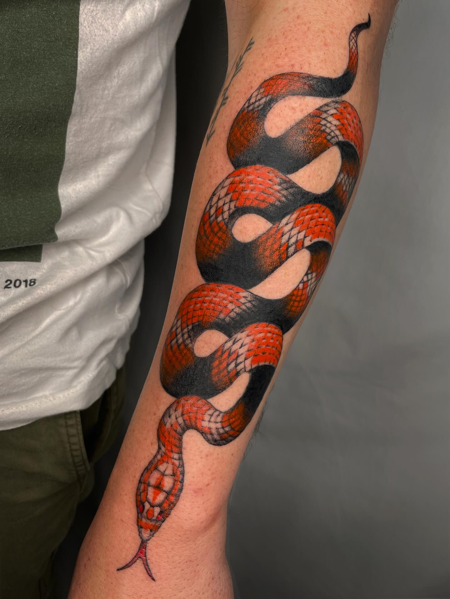 Snake realism tattoo on the forearm by Vash