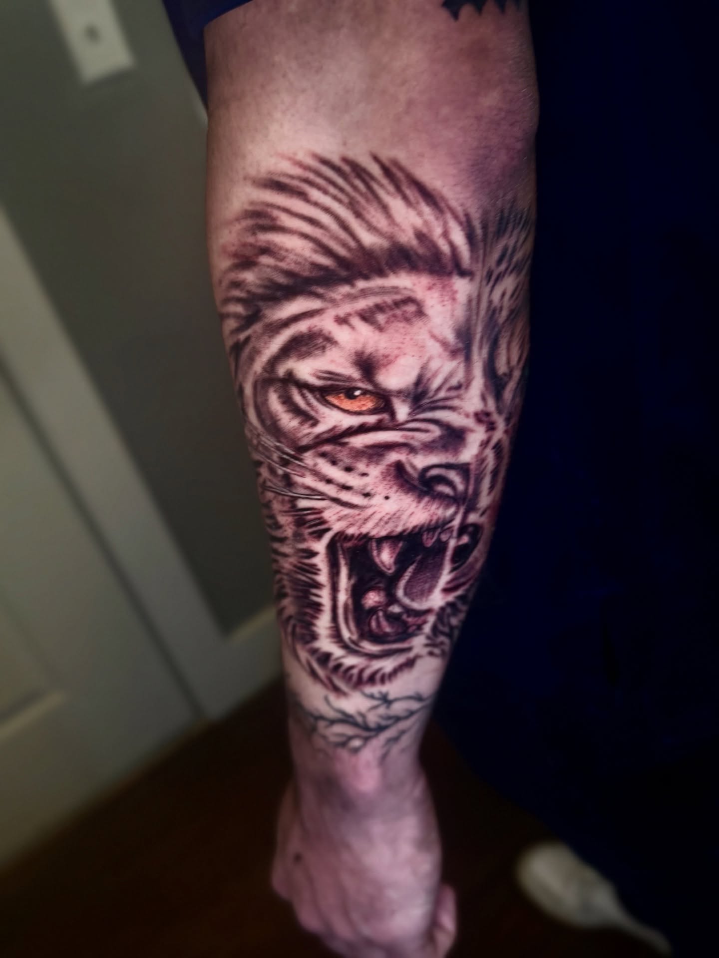 Roaring tiger realism tattoo on the forearm by Pikashi 🎨🖌️🖤