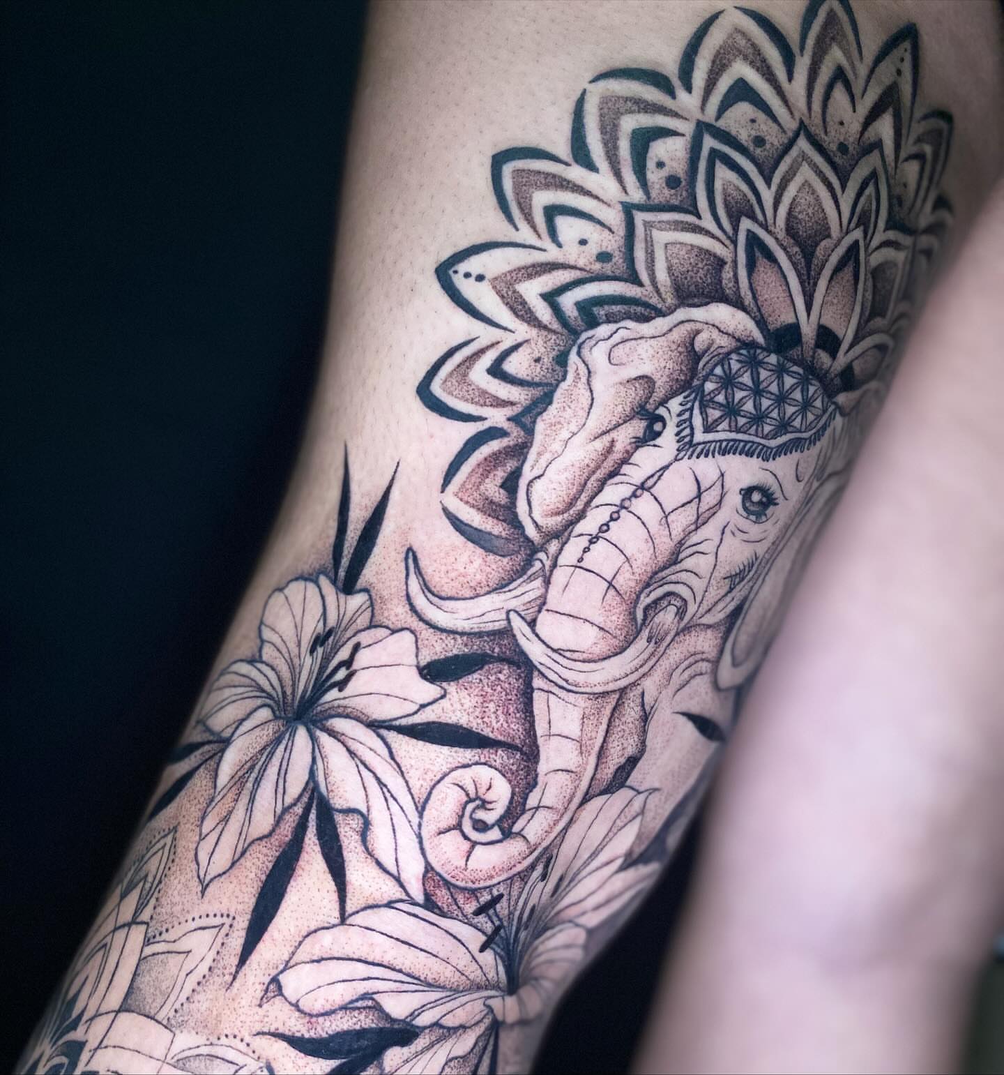 Tattoo by @caseydohnertattoos — dotwork, black_and_grey