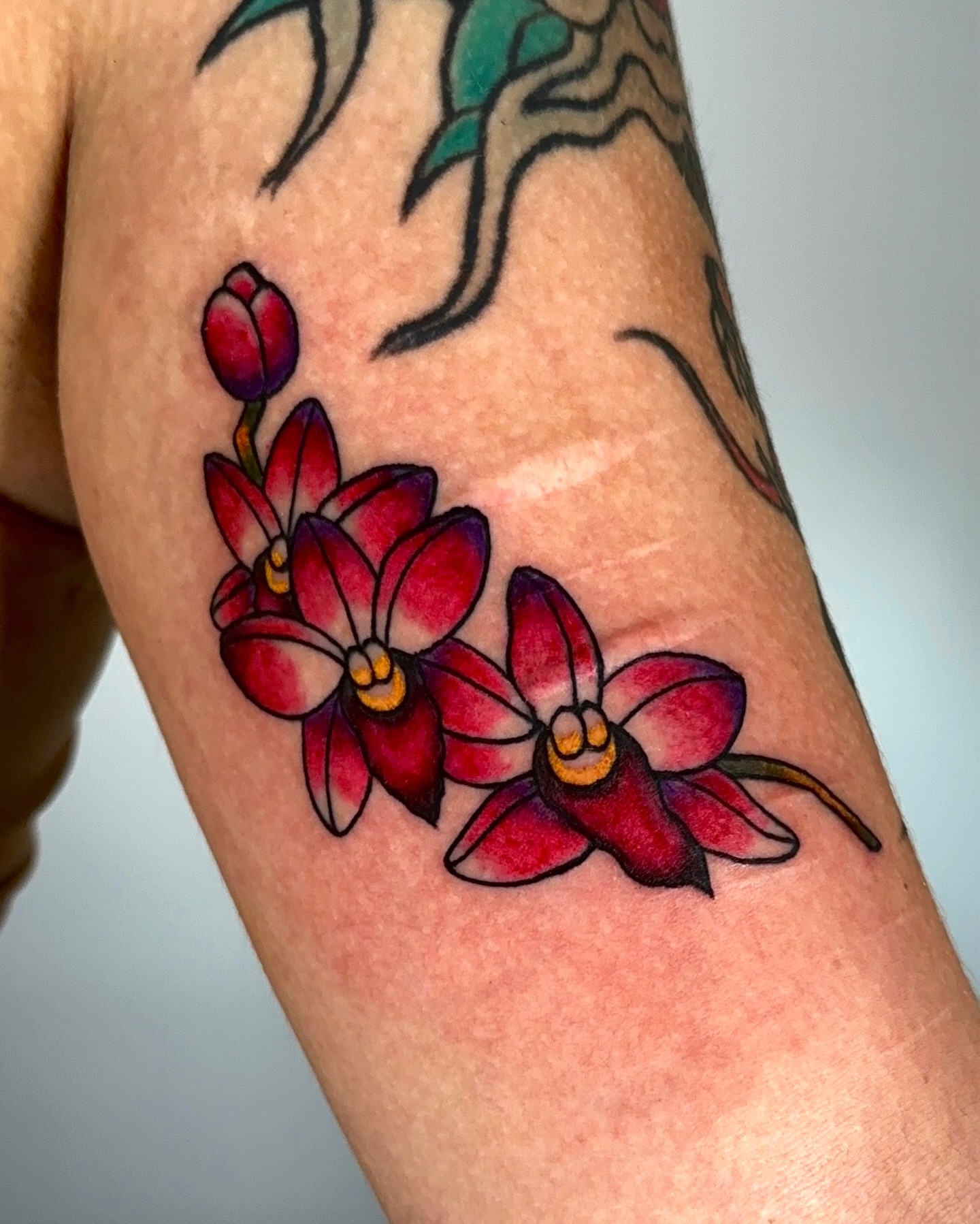 Tattoo by @zigzag_tattoo — new_school
