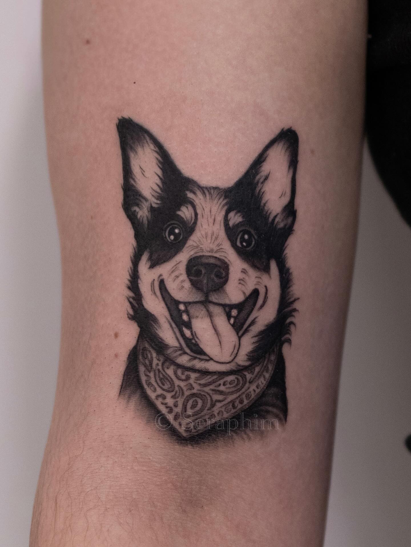 Dog with bandana black and grey tattoo on the forearm by Seraphim