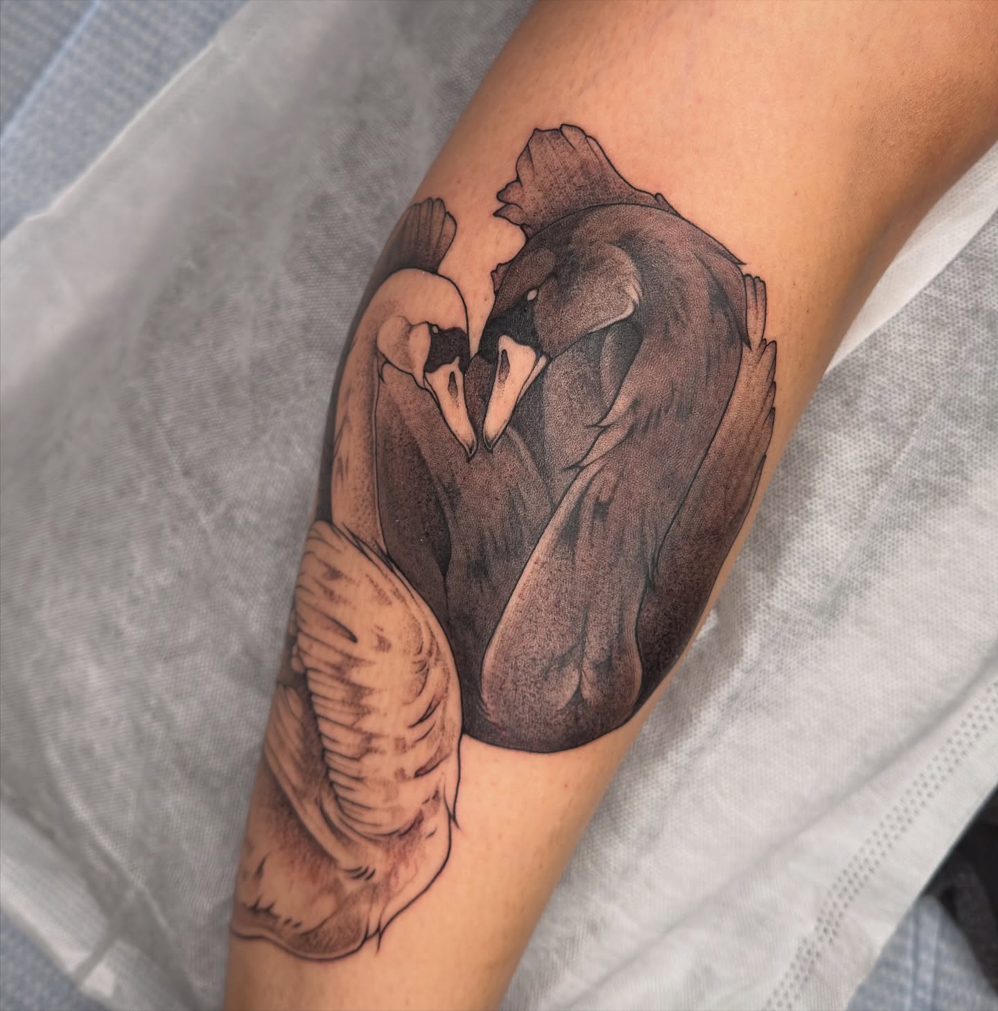 Tattoo by @juleghoul — black_and_grey