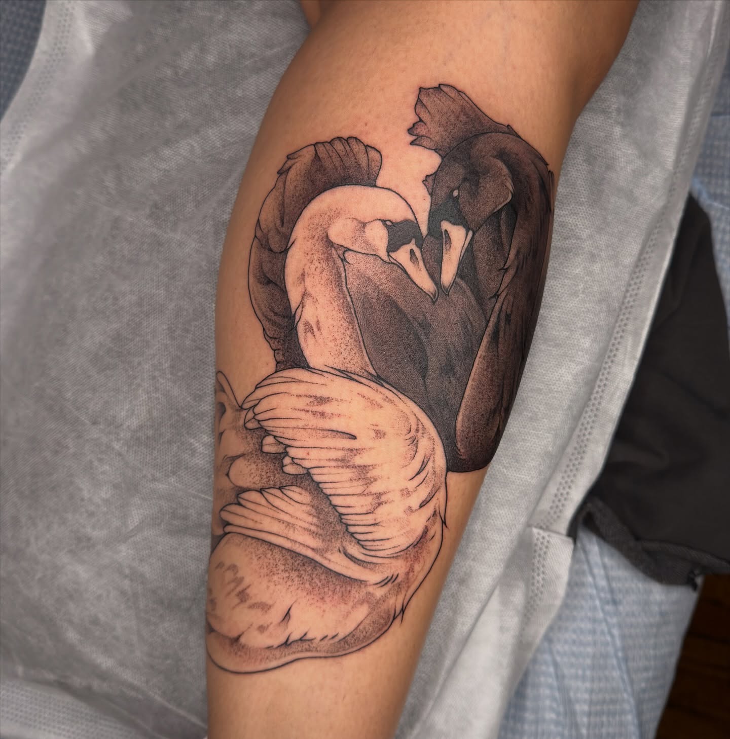 Tattoo by @juleghoul — black_and_grey, realism