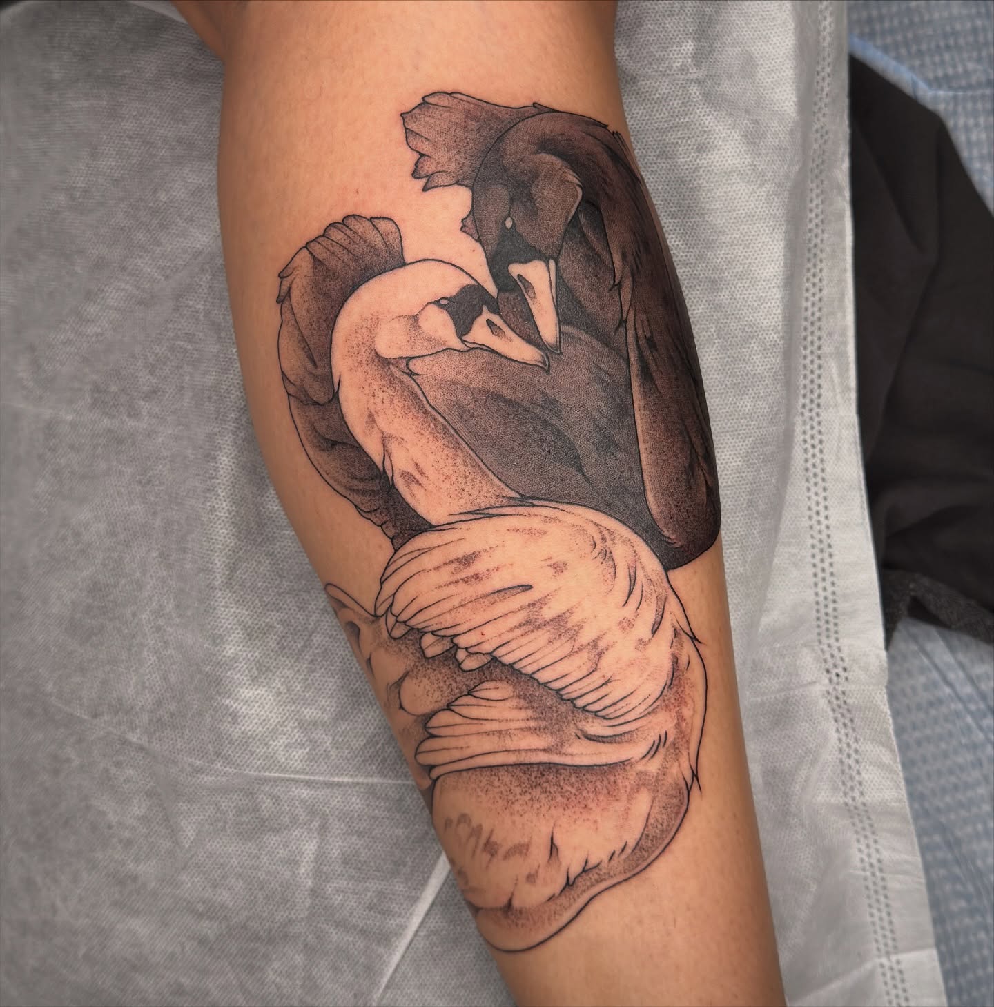 Tattoo by @juleghoul — dotwork, realism