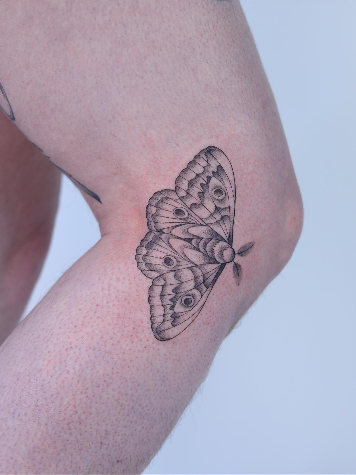 Tattoo by @emsky_ink — dotwork, realism