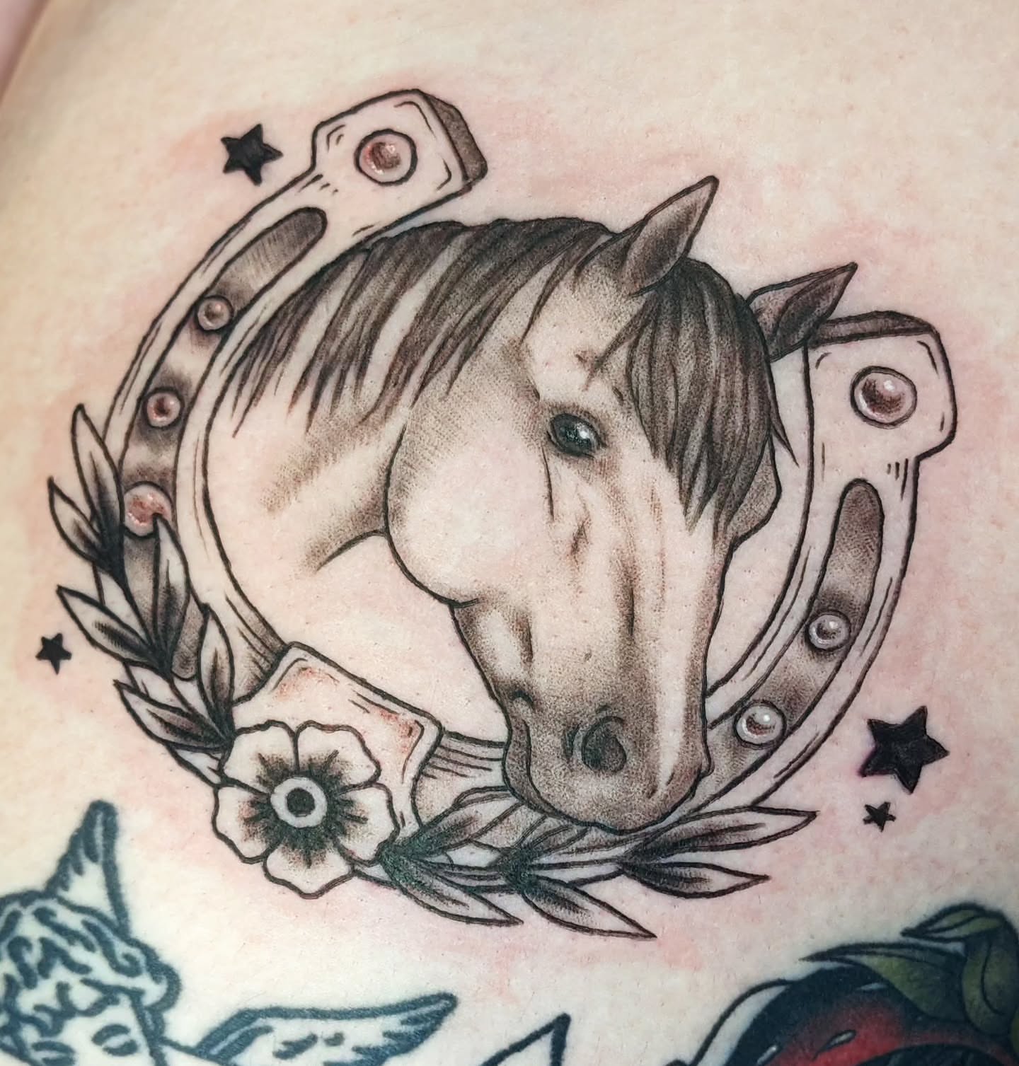 Horse head realism tattoo on the chest by robin ✨ portland tattoo artist