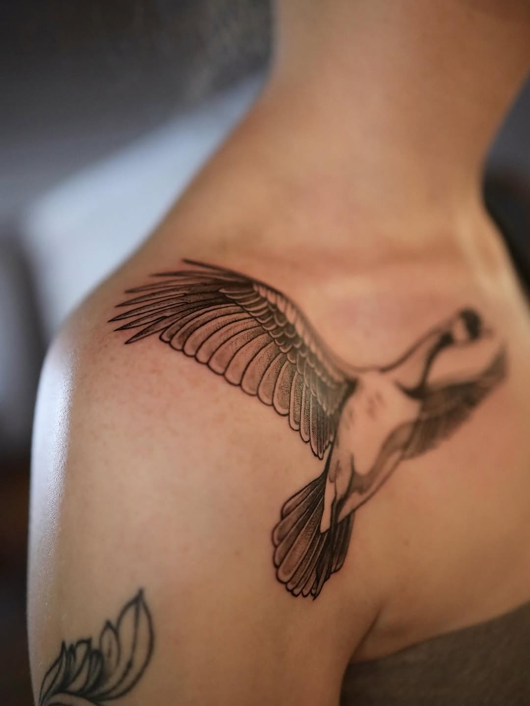 Flying bird fine line tattoo on the shoulder by morgan purcey