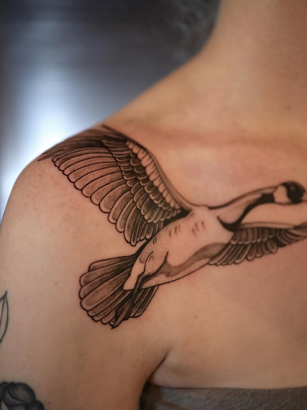 Flying goose fine line tattoo on the shoulder by morgan purcey