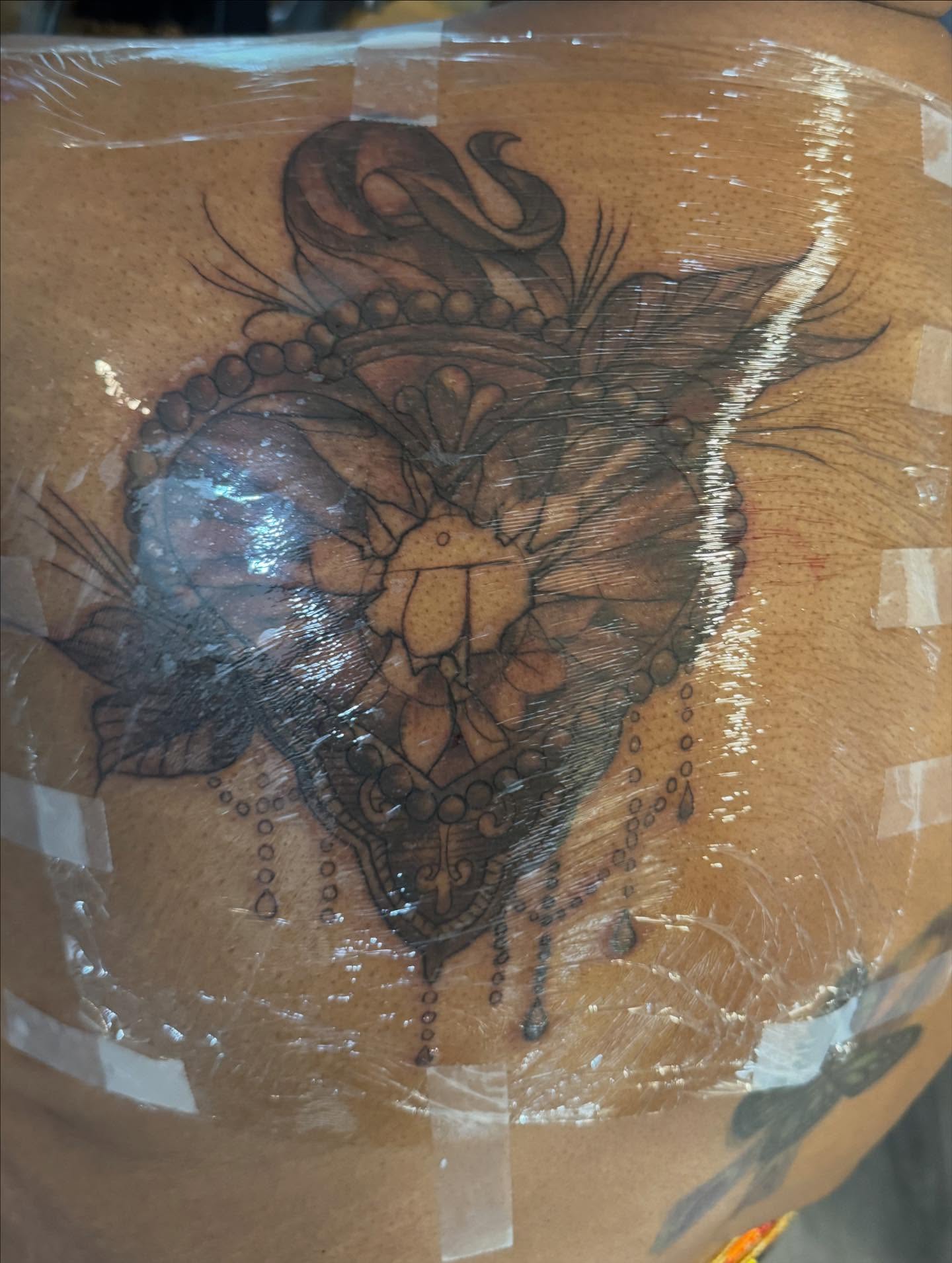 Skull and feathers American traditional tattoo on the torso by Gabe