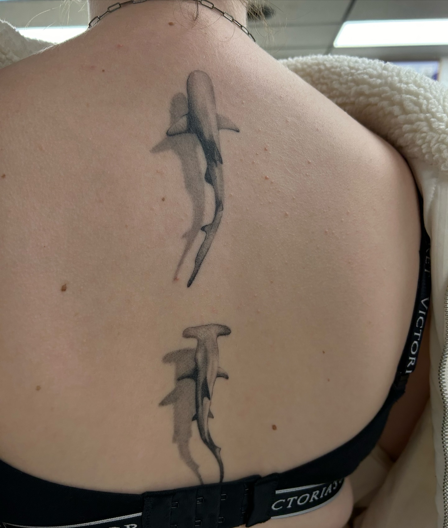 Shark black and grey tattoo on the back by alyssa jade ⭐️