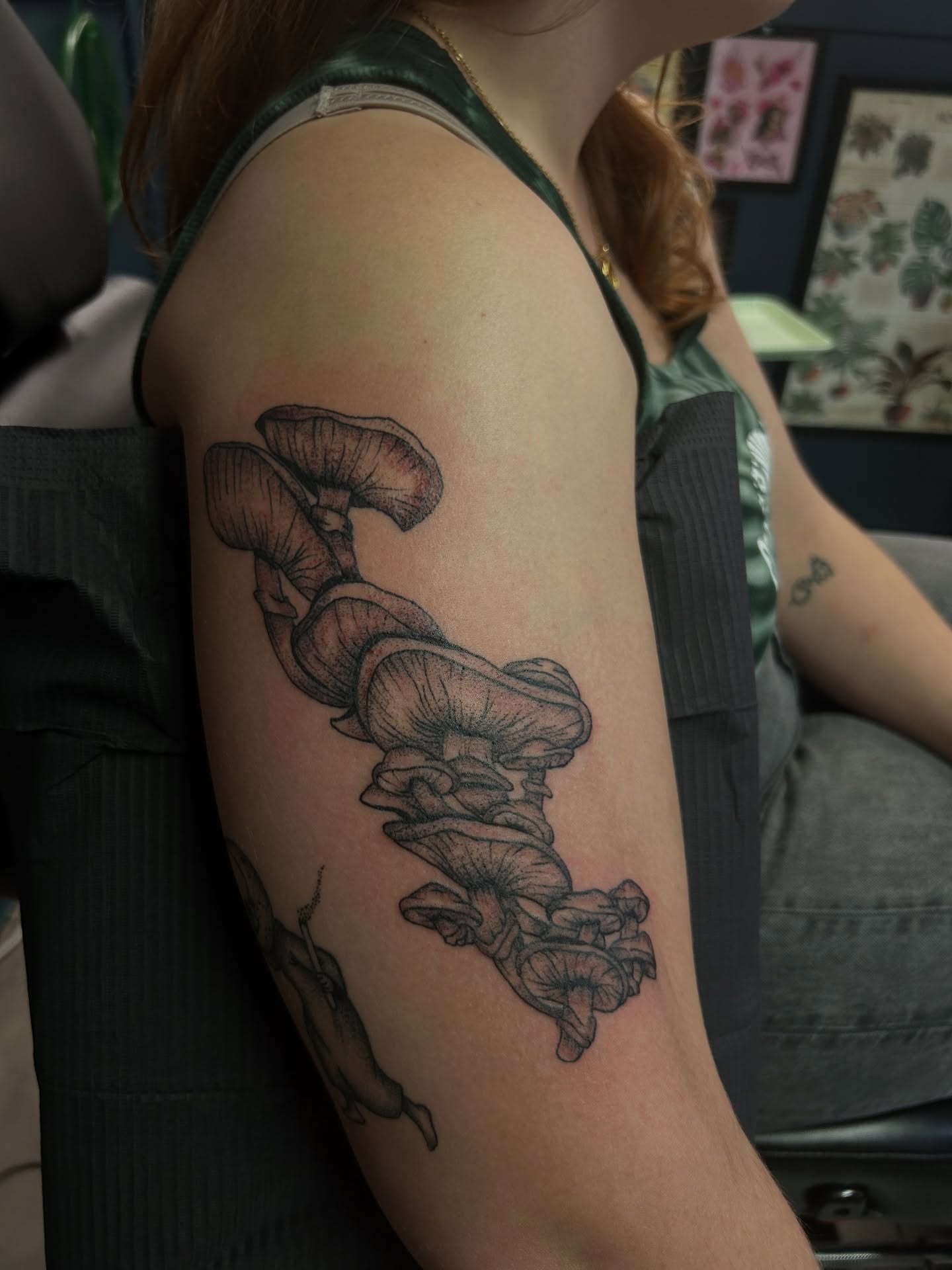 Mushroom cluster black and grey tattoo on the forearm by Torrey, Austin, Texas