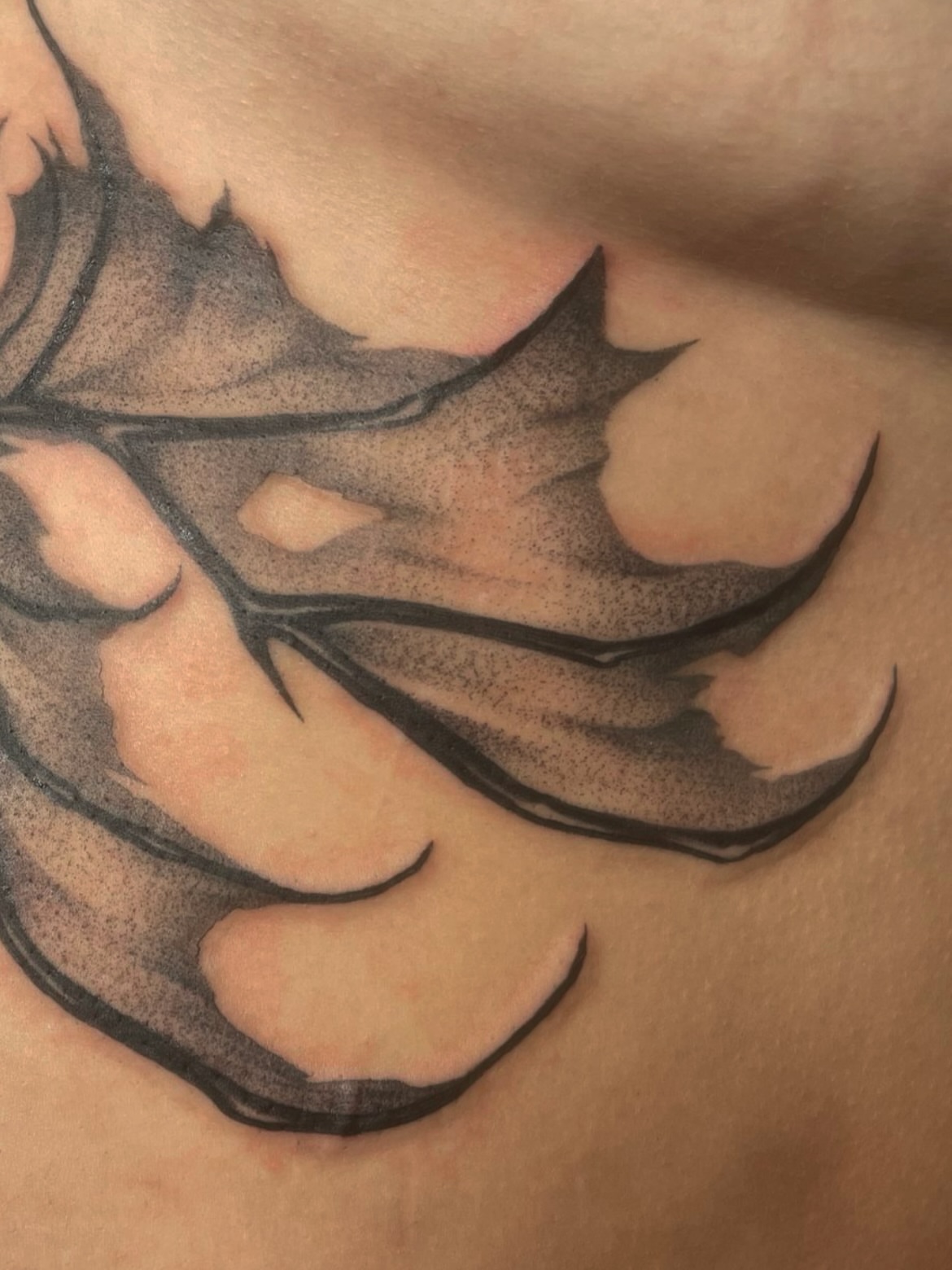 Wings dotwork tattoo on the chest by Eryn, Portland, Oregon