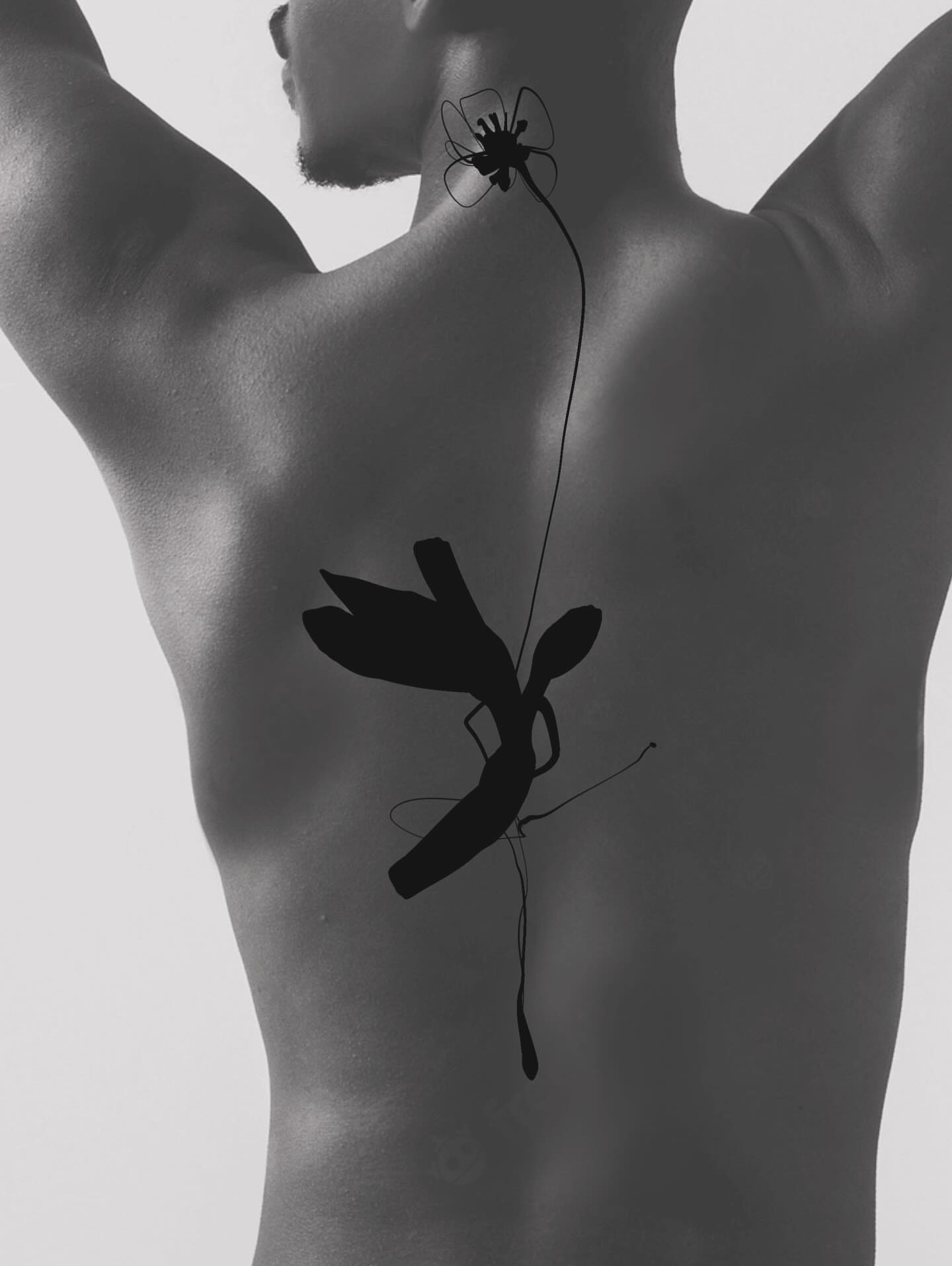 Insect black and grey tattoo on the chest by @laurabochet_tattoo, Beacon, NY