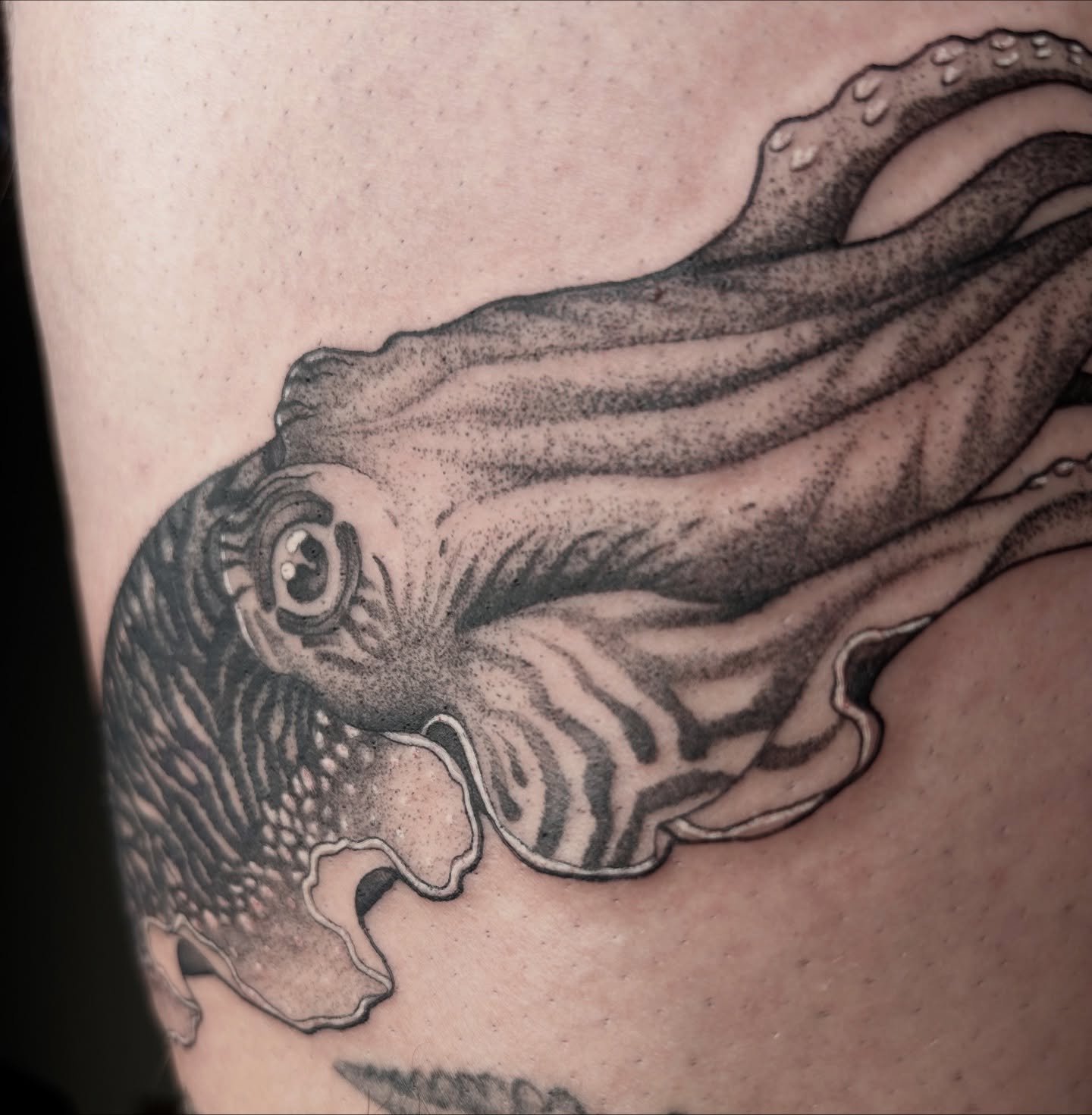 Tattoo by @savmaxtatz โ dotwork, realism