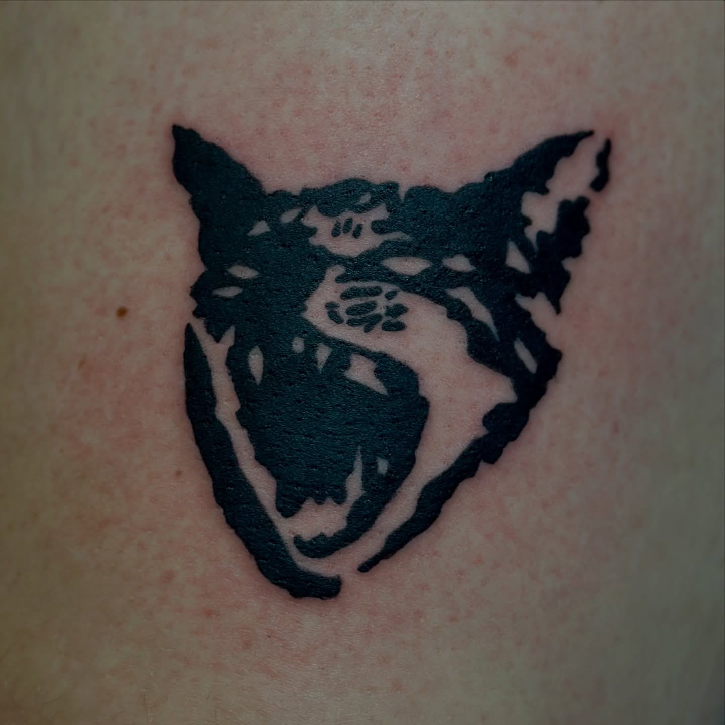 Wolf black and grey tattoo on the forearm by Holly Ellis, San Francisco, California