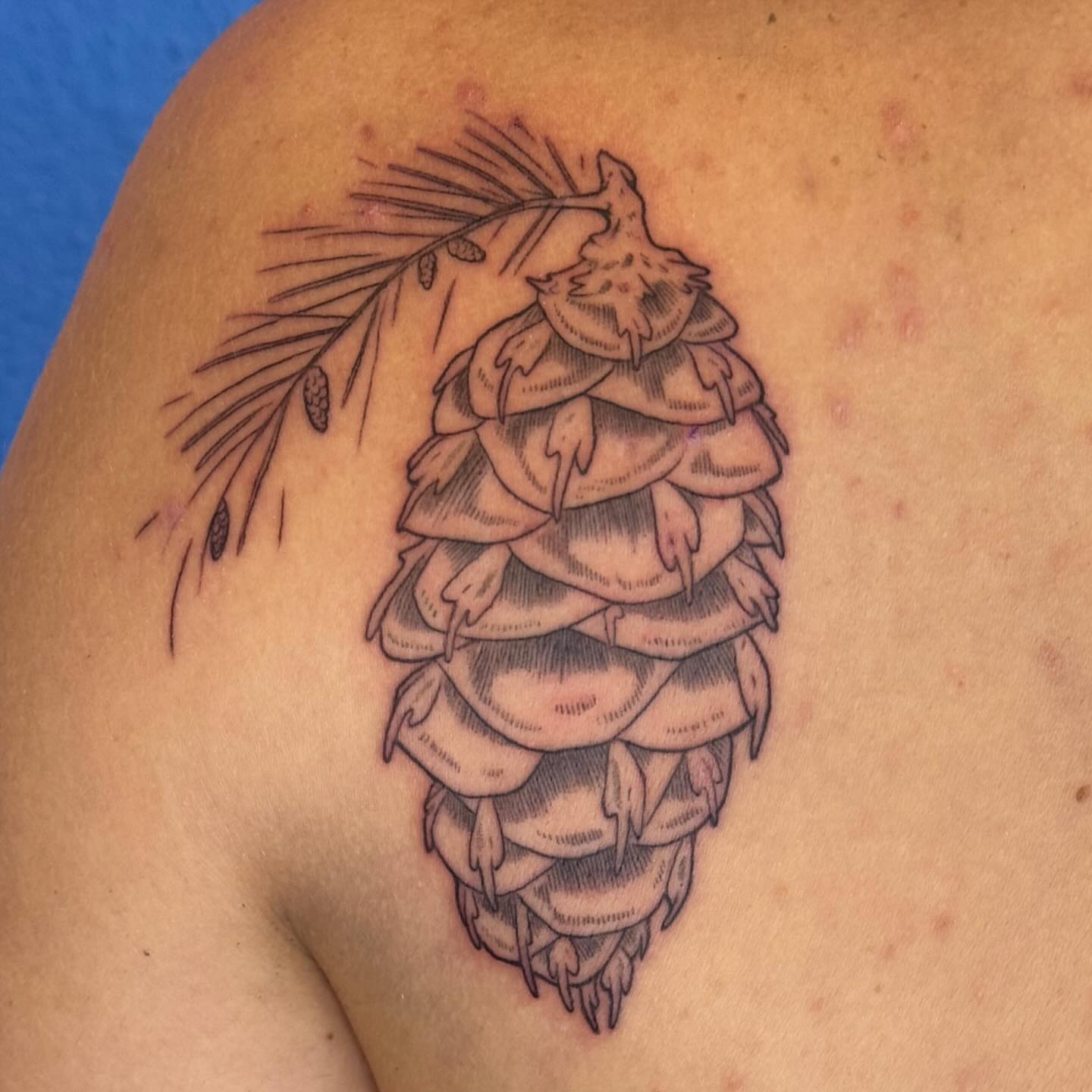 Pine cone black and grey tattoo on the shoulder by Ivy