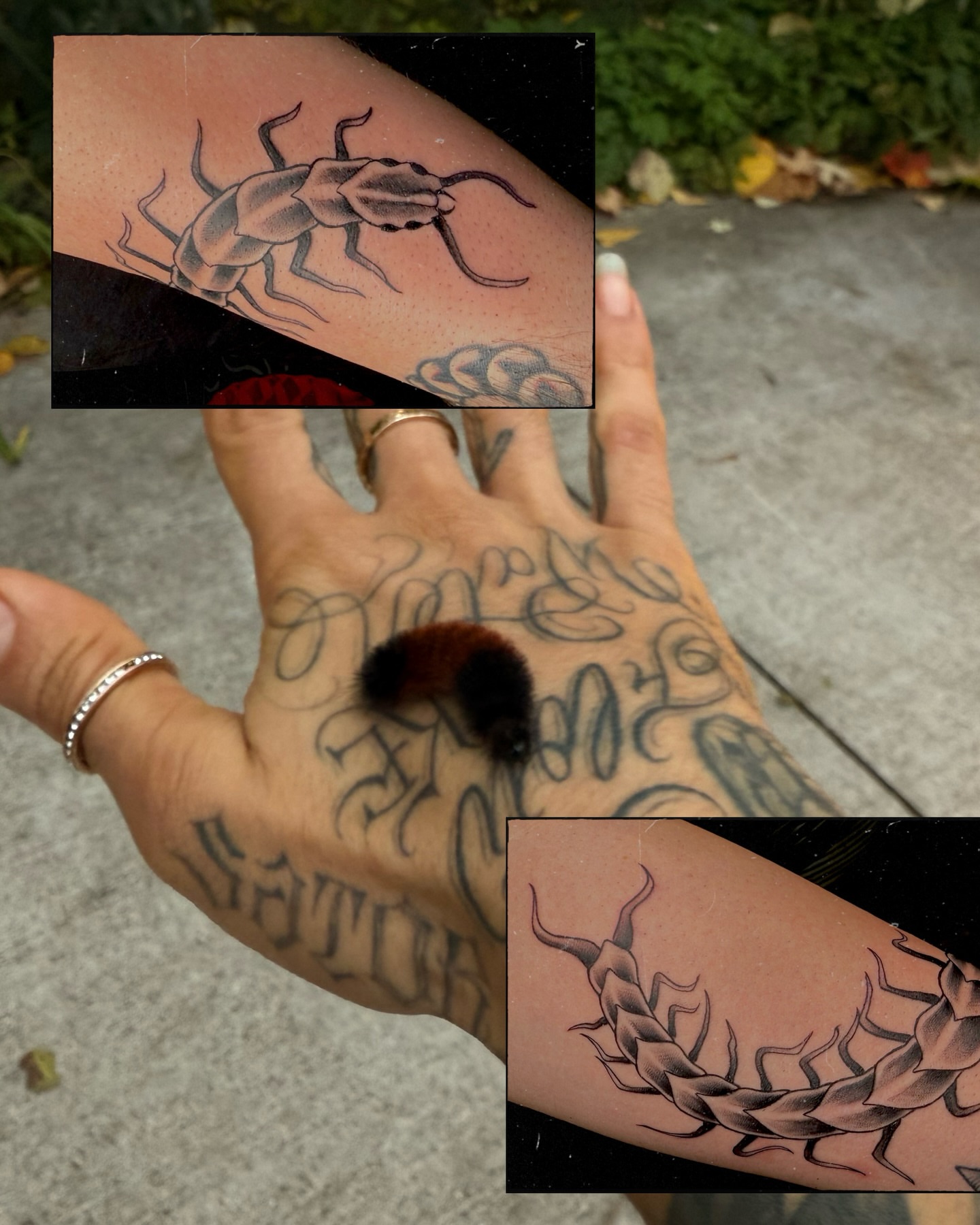 Tattoo by @ivybtatu β black_and_grey